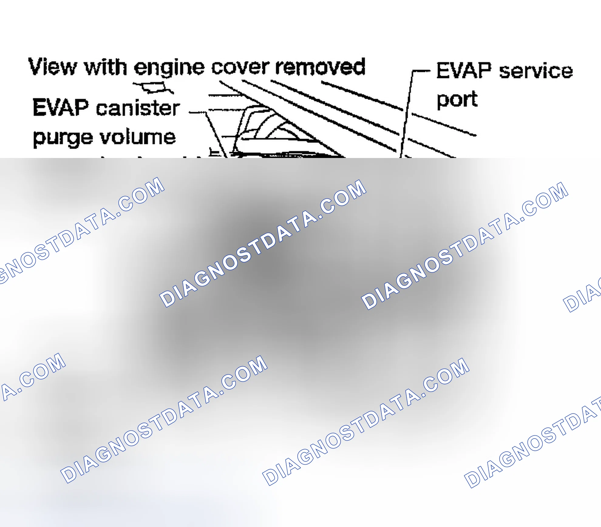 Scheme 753: Diagnostic Procedure
