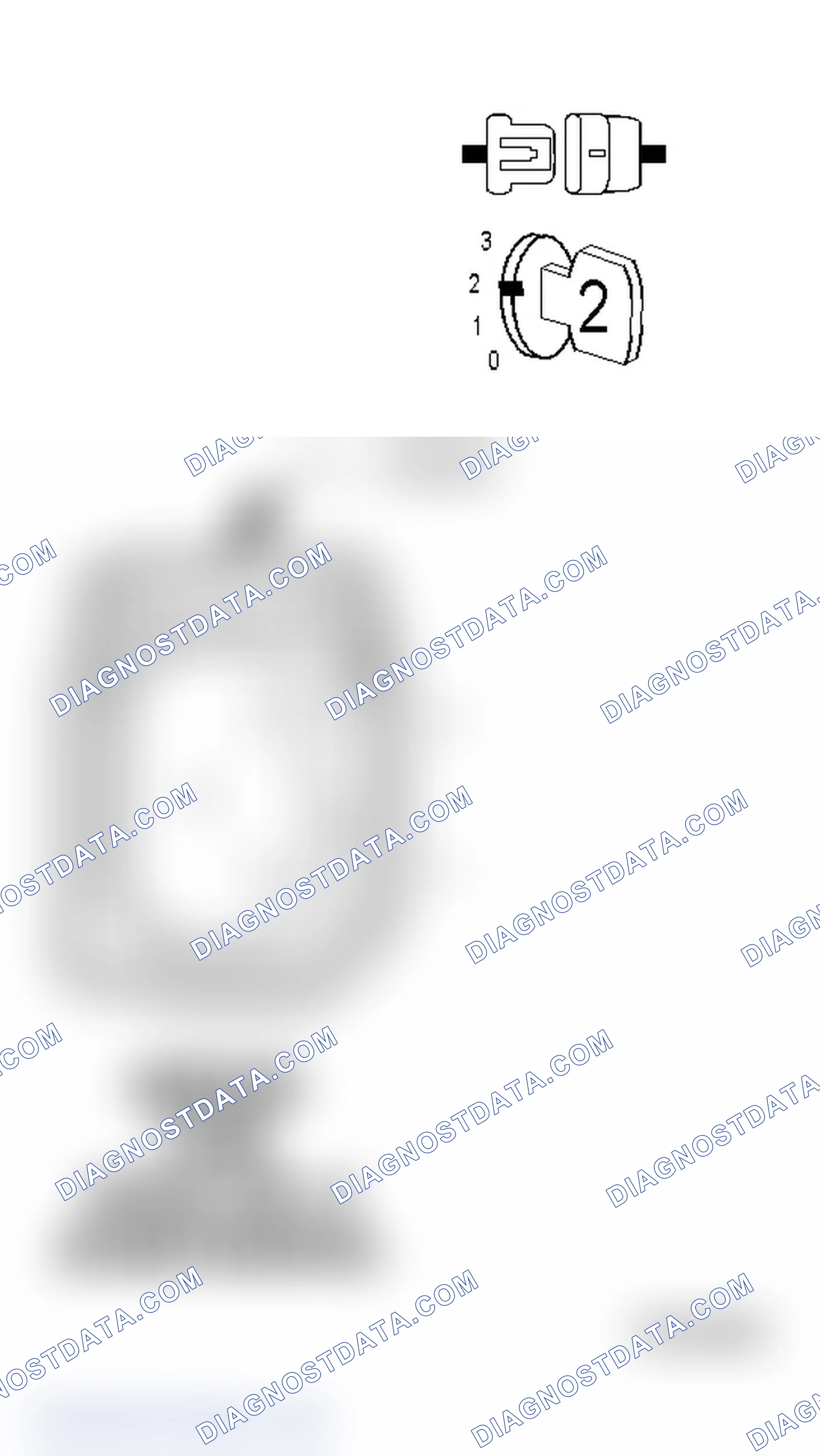 Scheme 24: Diagnostic Test