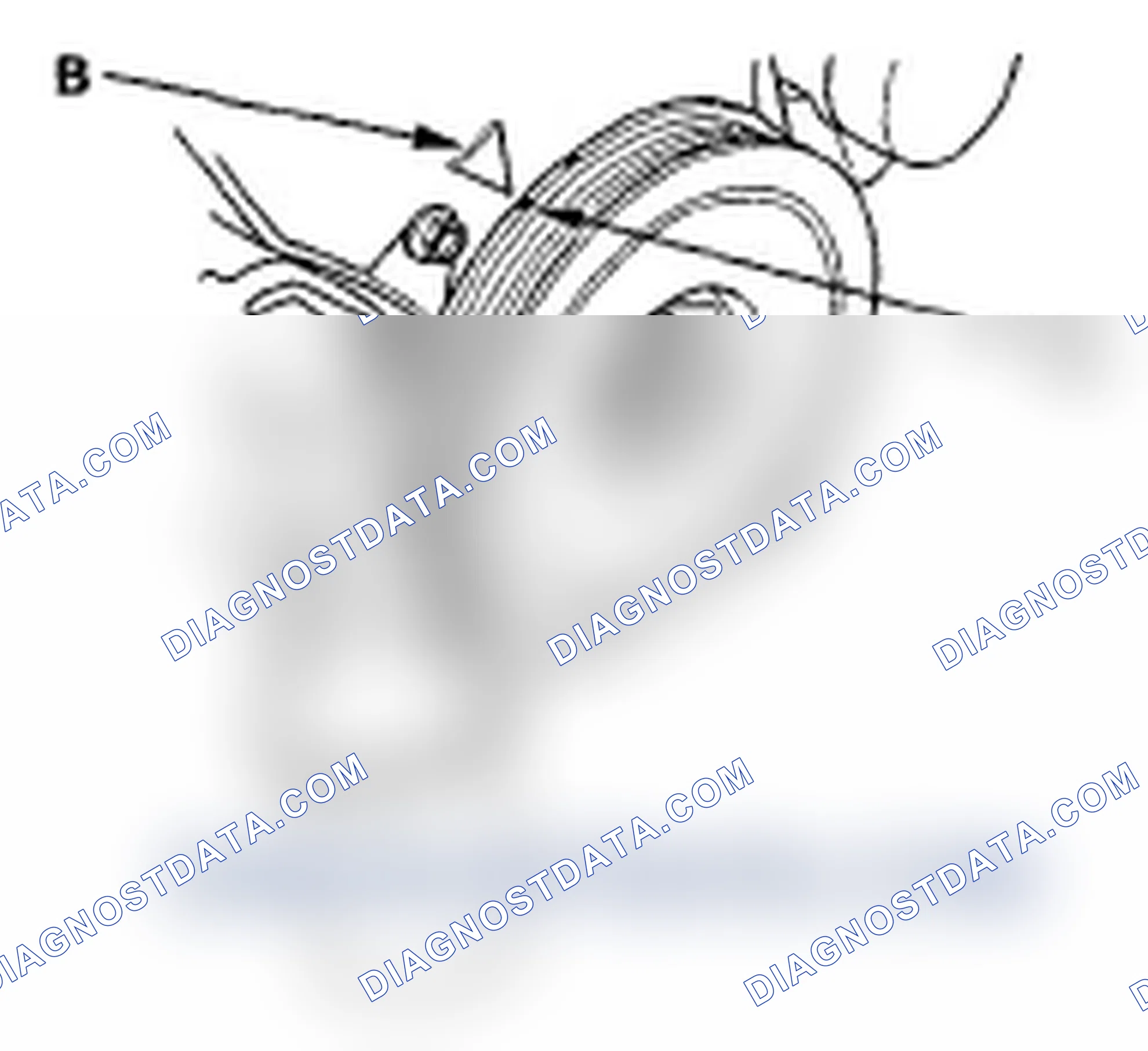 Scheme 89