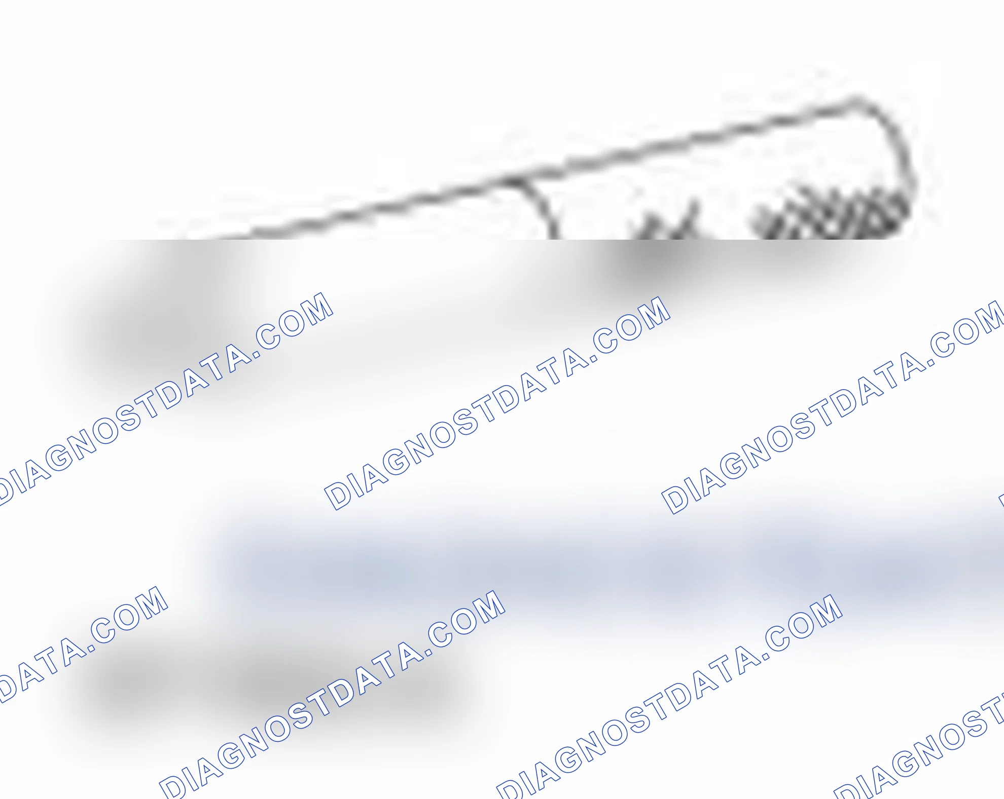 Scheme 424: Special Tool(s)