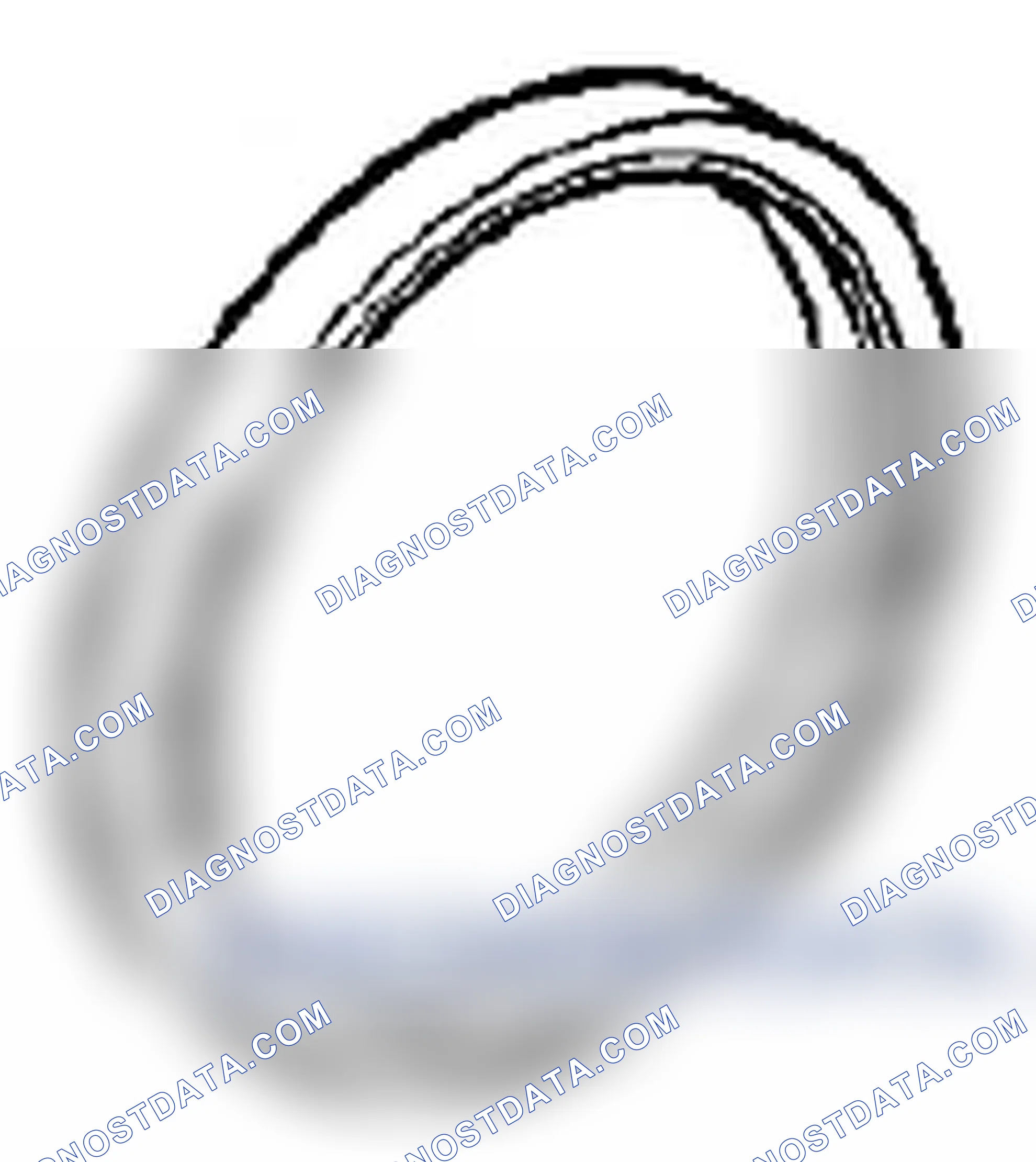 Scheme 206: Rear Oil Seal