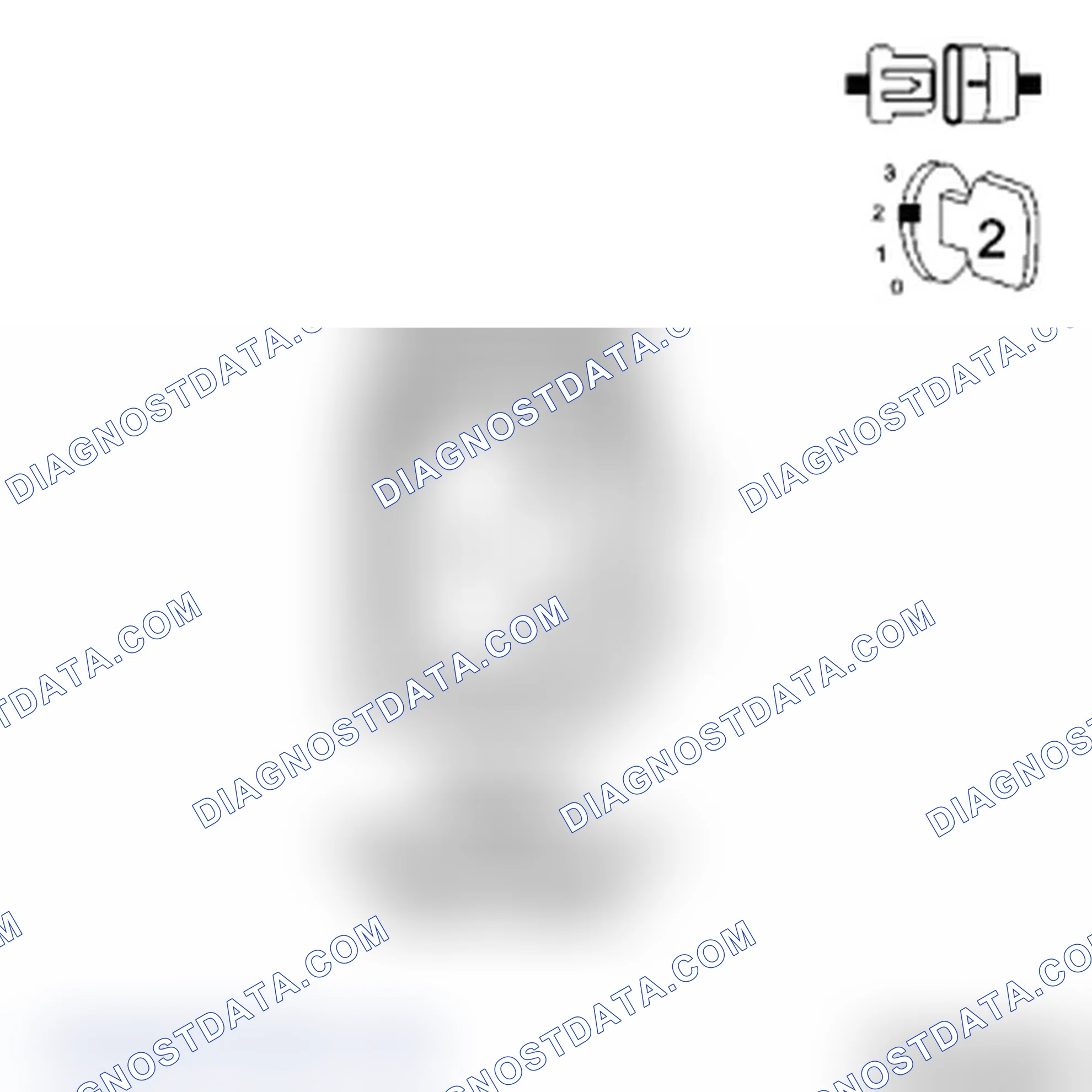 Scheme 13: Diagnostic Test