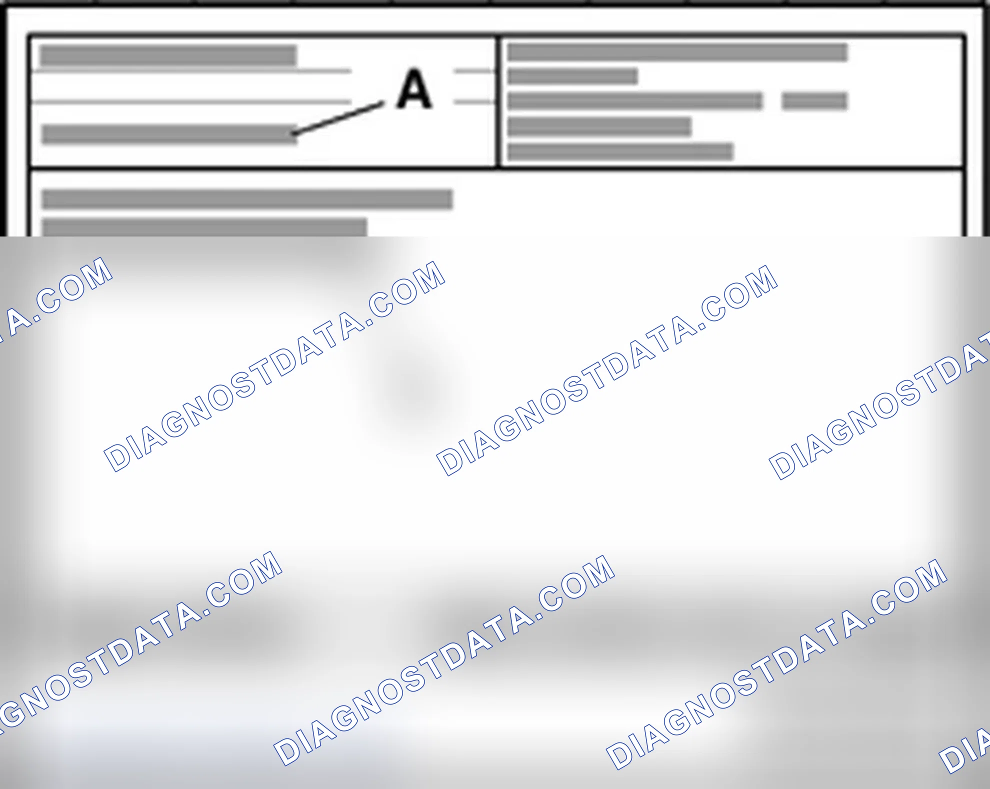 Scheme 462