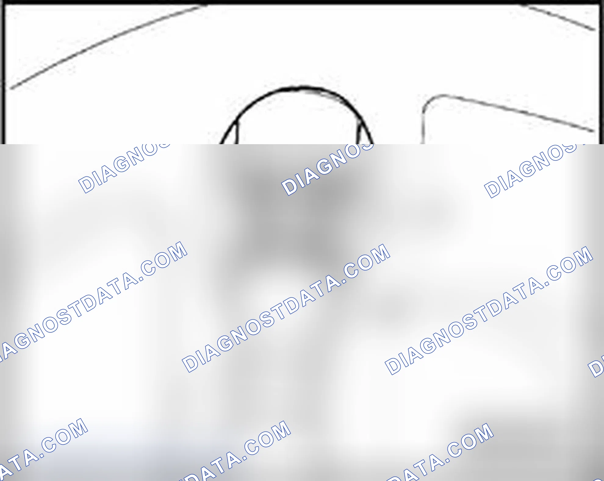 Scheme 188: Rear strut