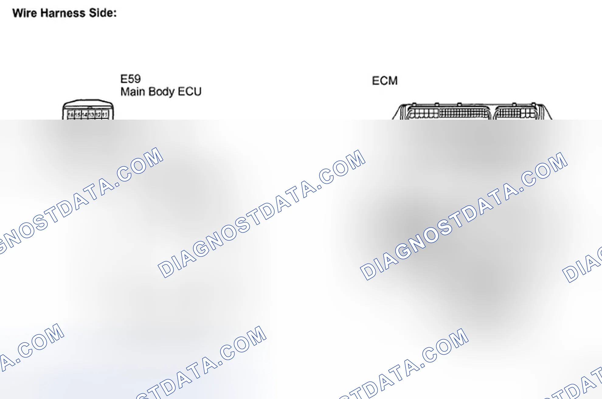 Scheme 39: INSPECTION PROCEDURE