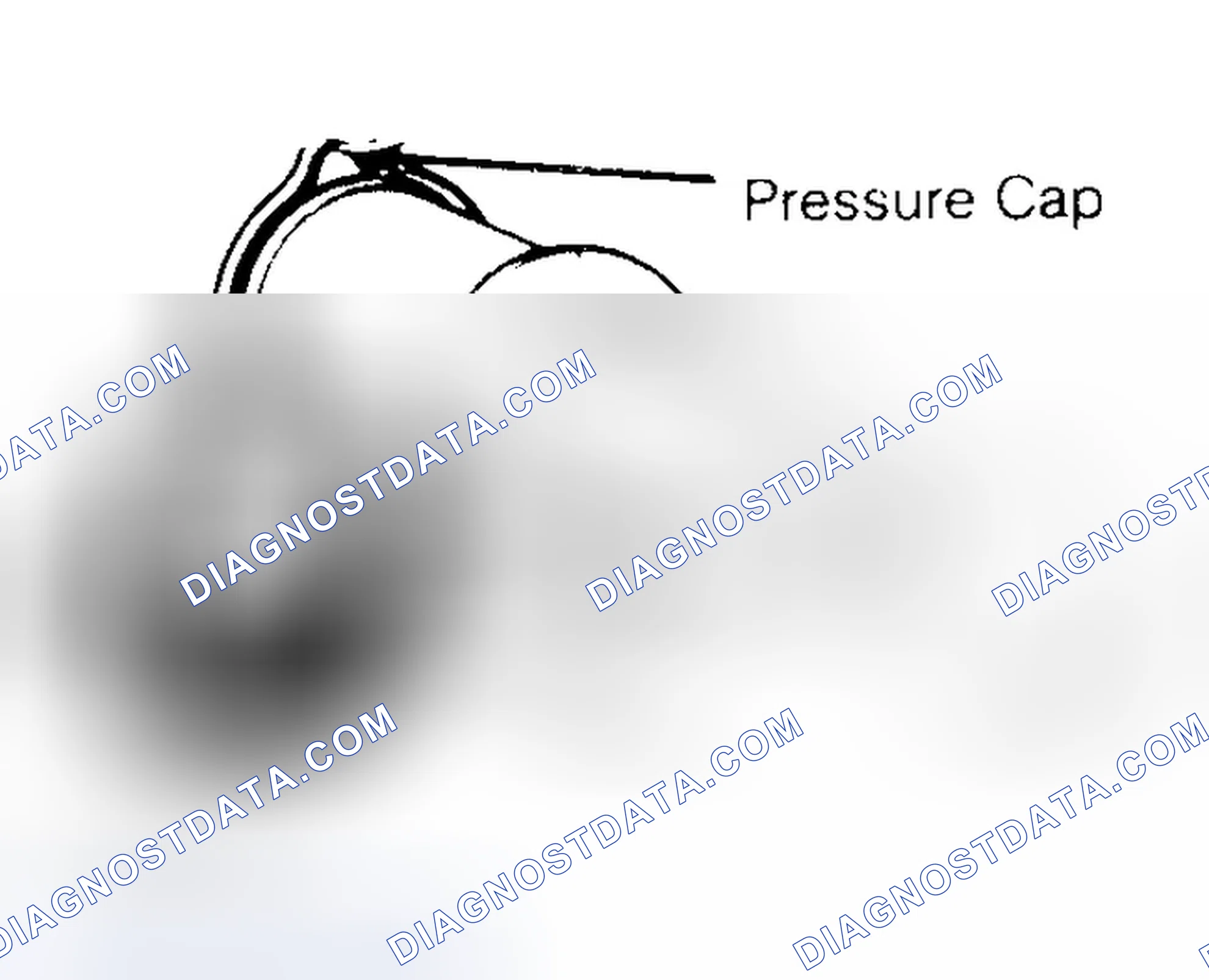 Scheme 2: Pressure Testing Radiator Cap