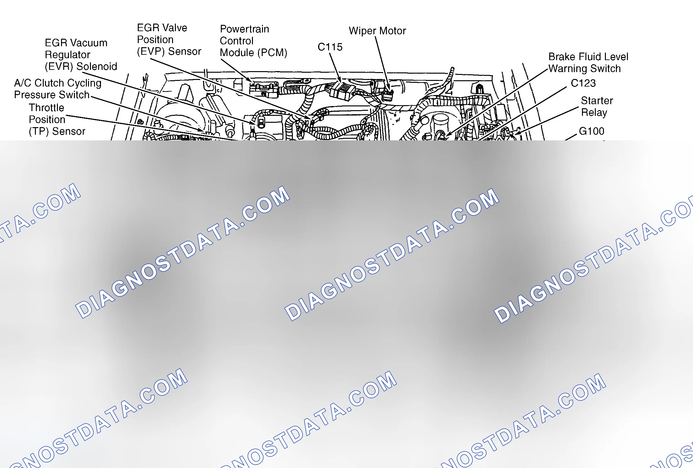 Scheme 4: Engine Compartment (5.0L)