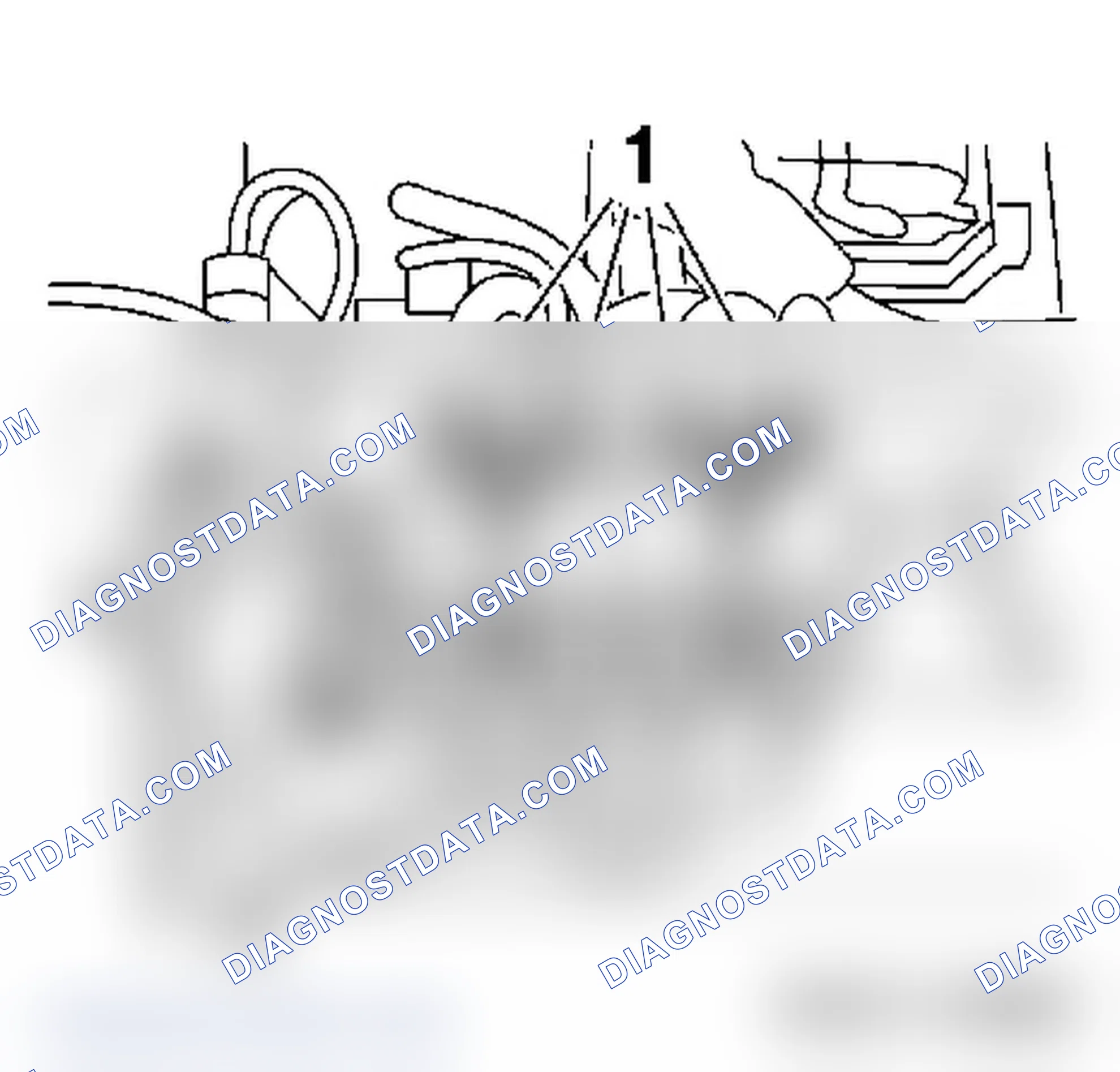Replace Injection Module (Euro 4)