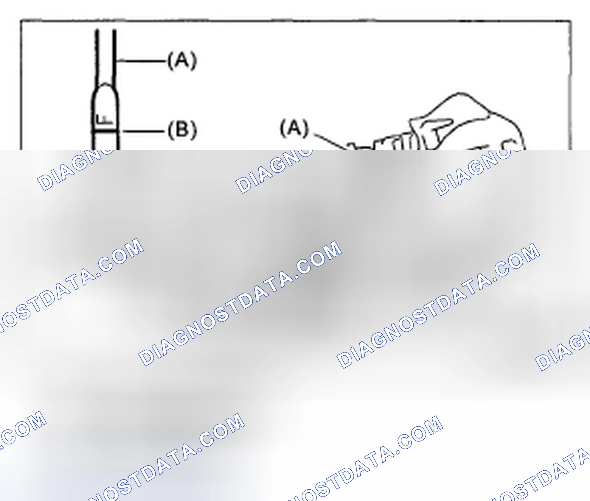 Scheme 80