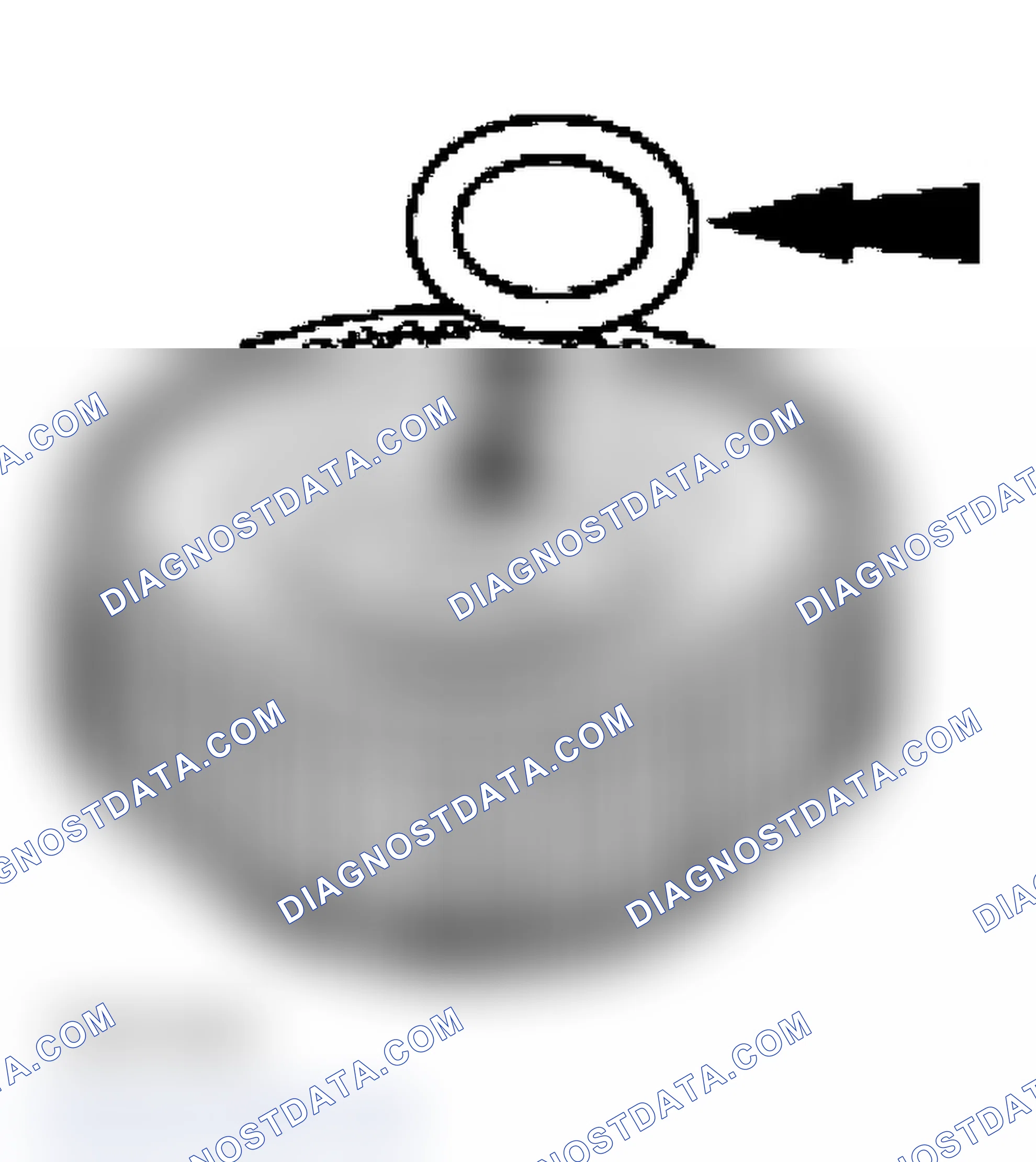 Scheme 343