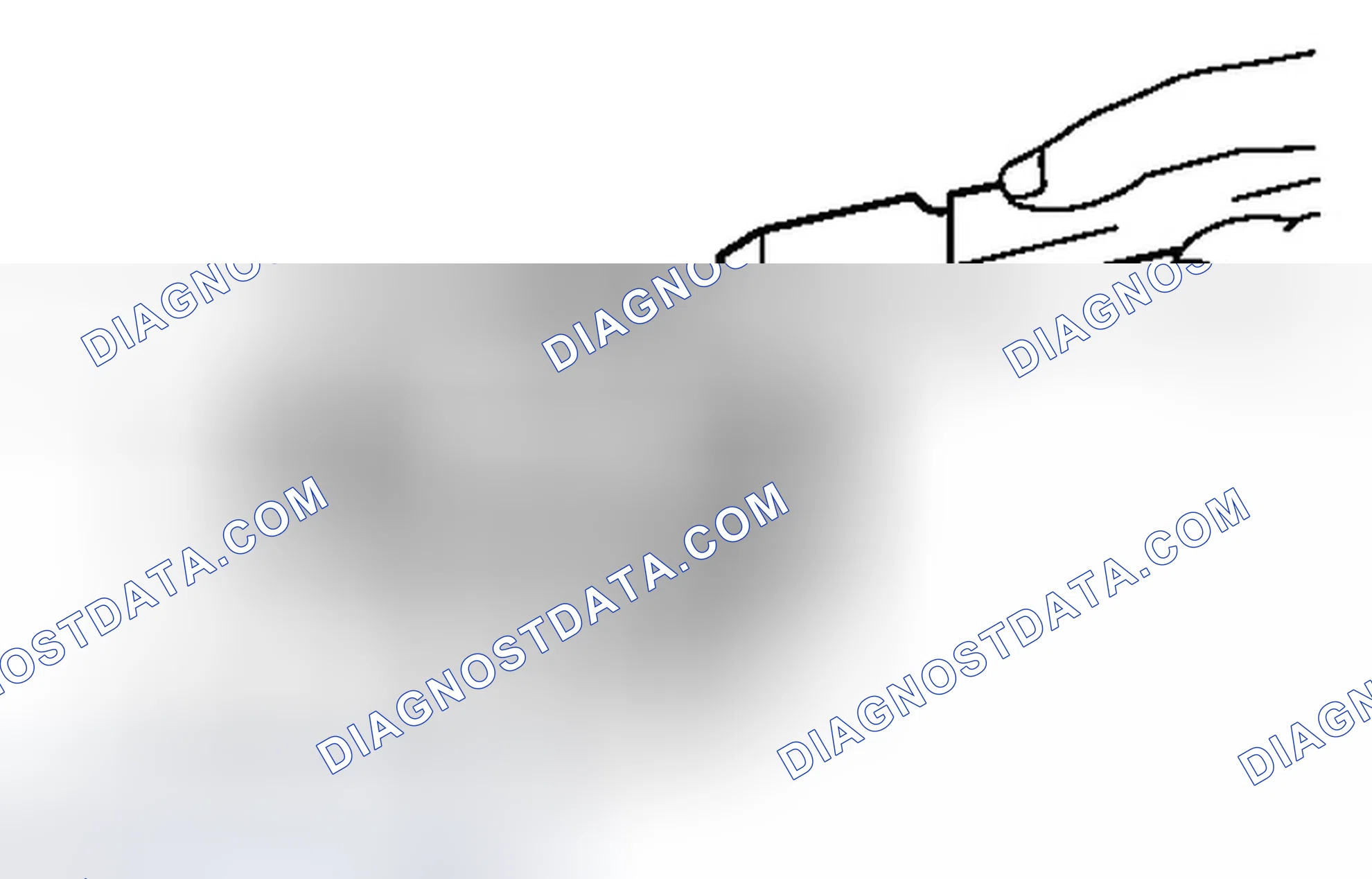 Scheme 358
