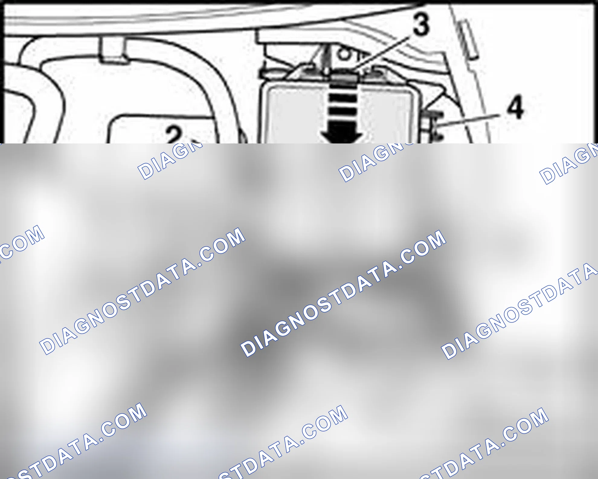 Scheme 219