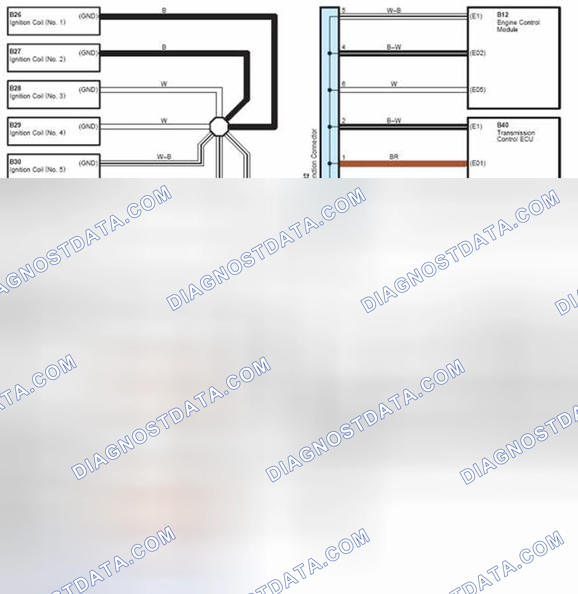 Scheme 333: GROUND POINT