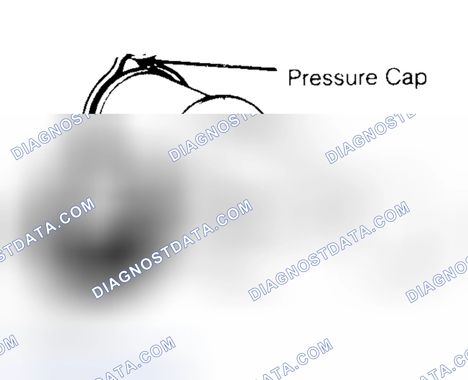 Scheme 2: Pressure Testing Radiator Cap