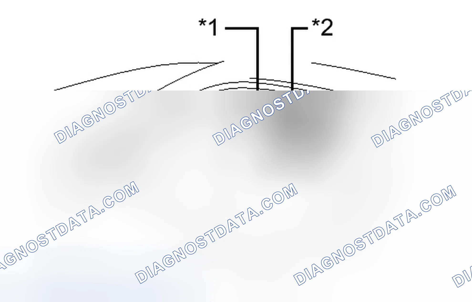 Scheme 1: OPERATION CHECK [03/2012 - ]