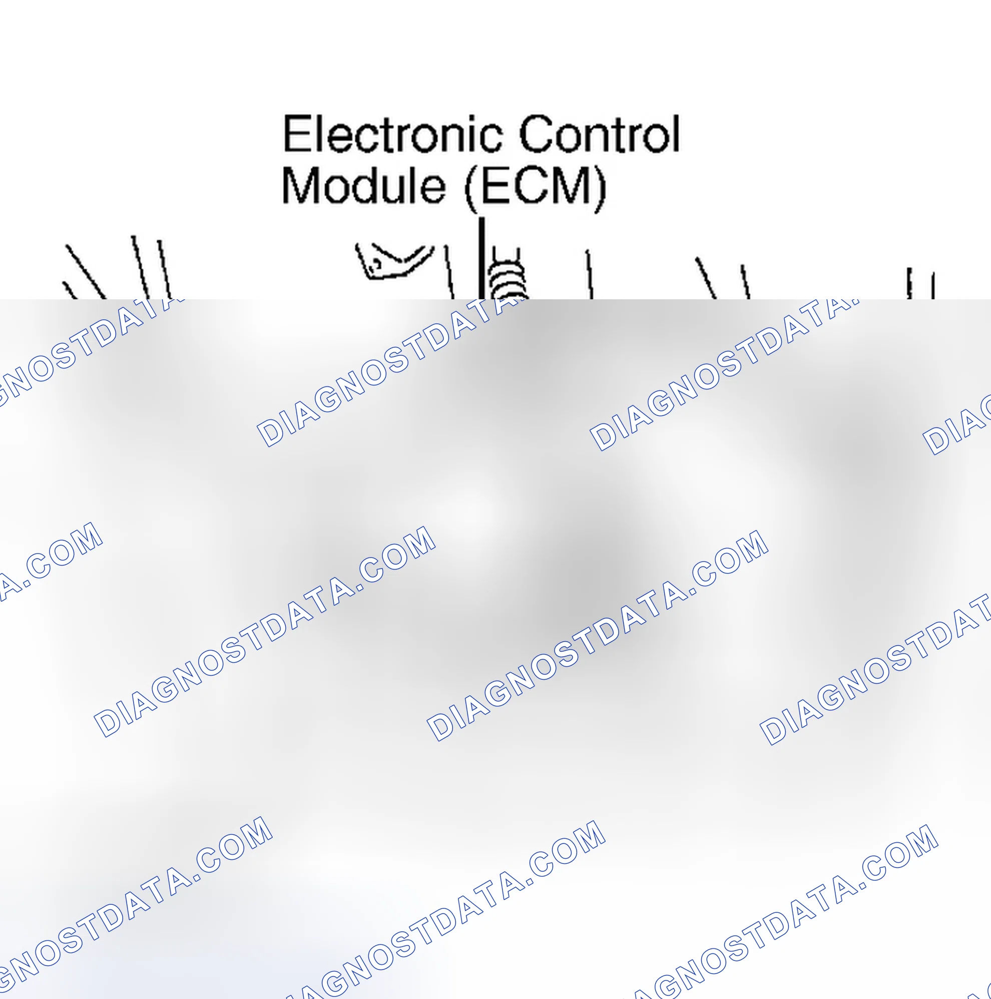 Scheme 13: ECM LOCATION