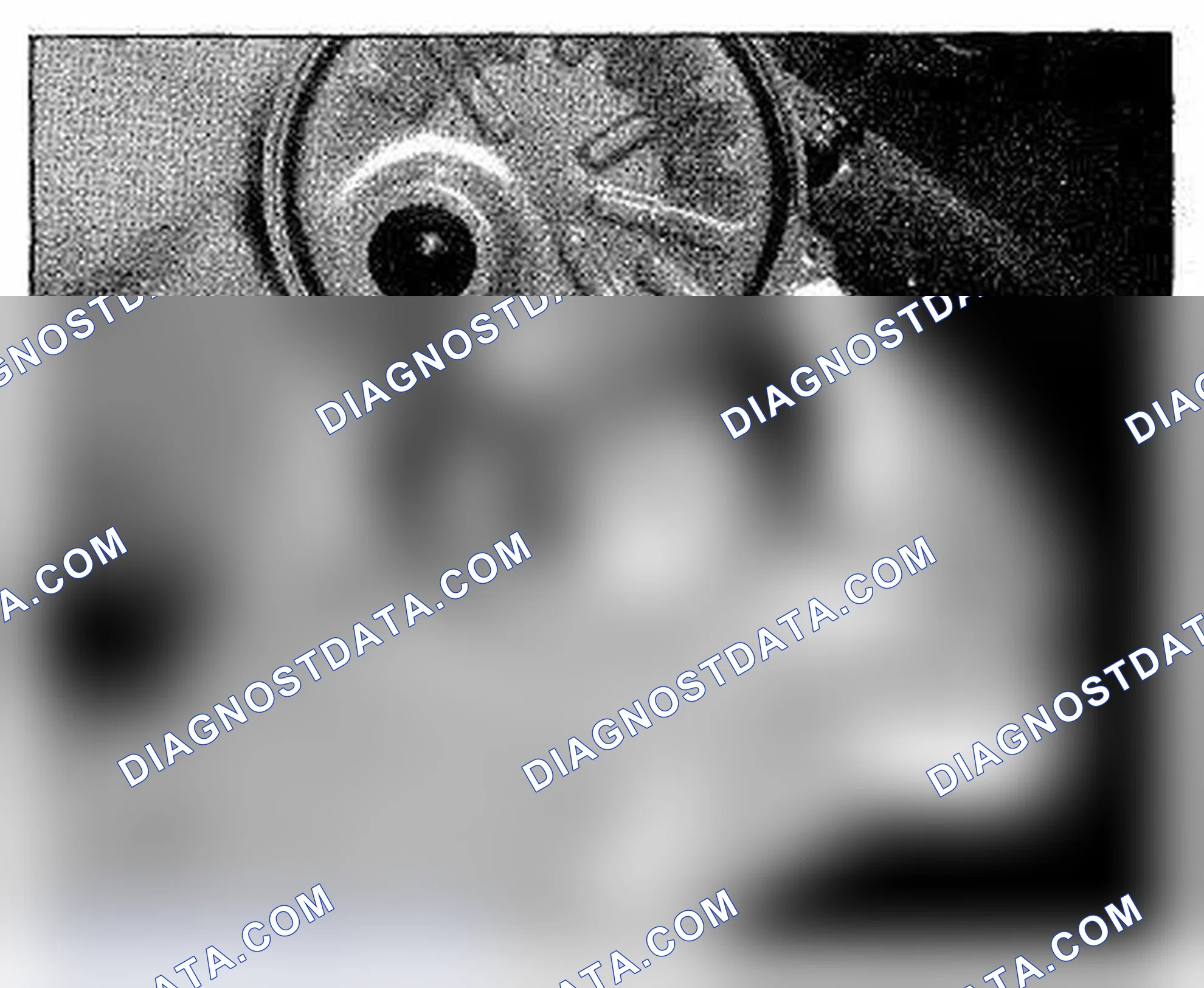Scheme 1215: Right Rear Of Floor (SH-AWD) Component Location (Photo 206)