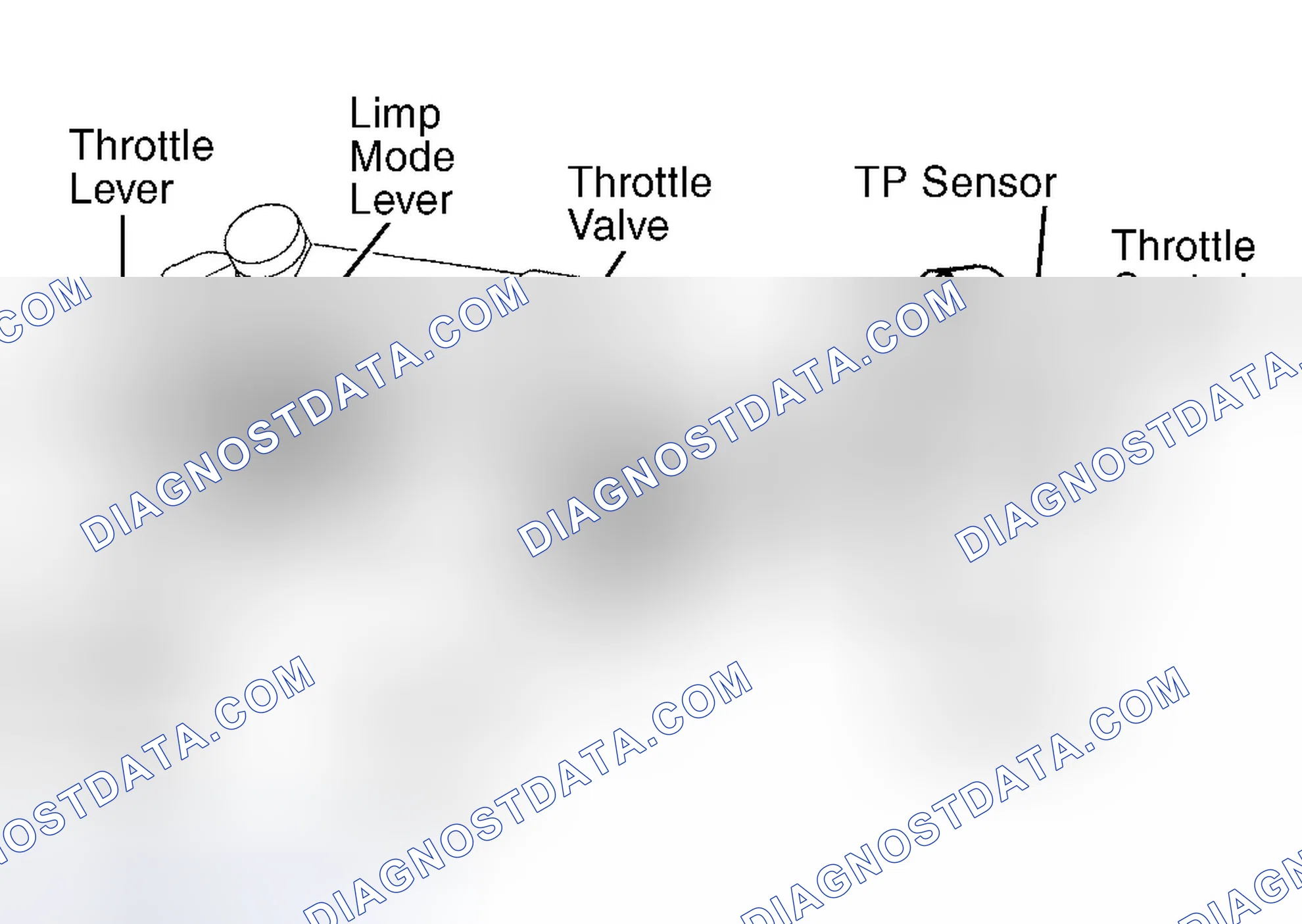Scheme 227: Land Cruiser, Sequoia, Tundra 4.7L V8 & 4Runner