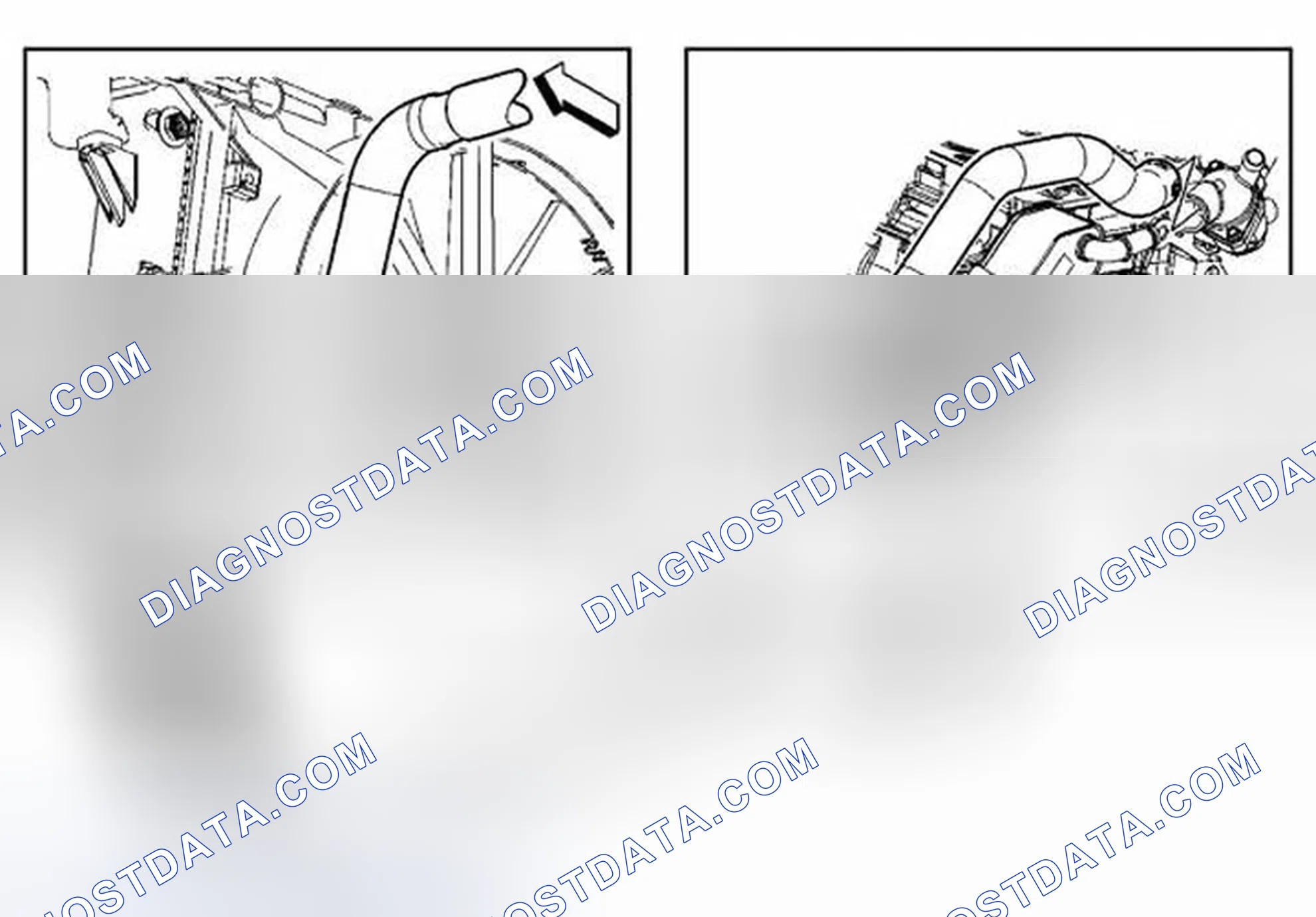 Scheme 24: Radiator Outlet Hose Replacement (LNF)