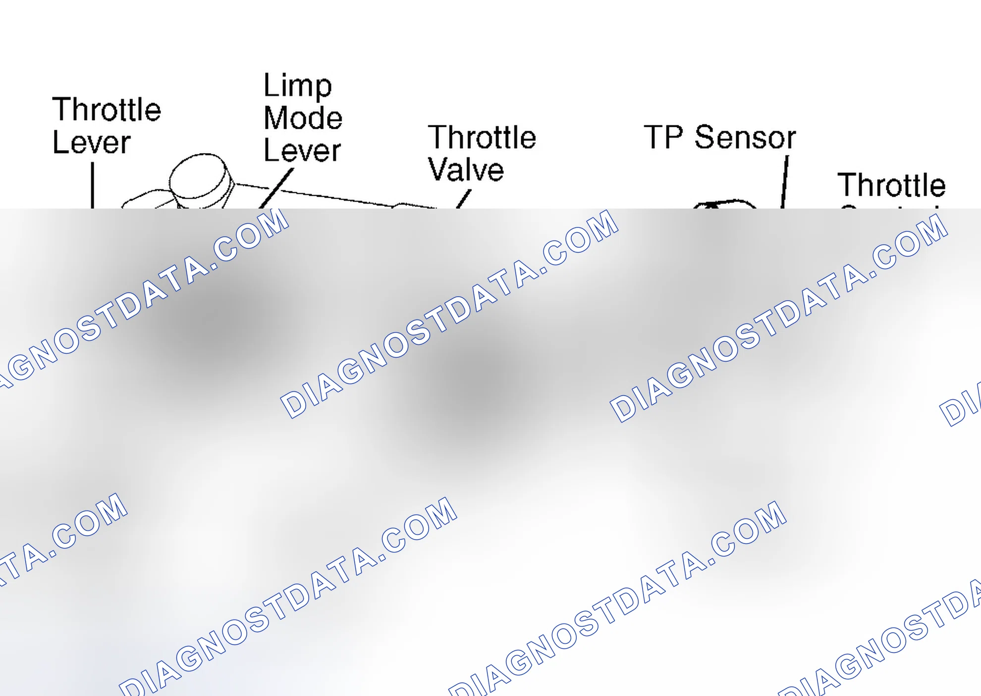 Scheme 308: Land Cruiser