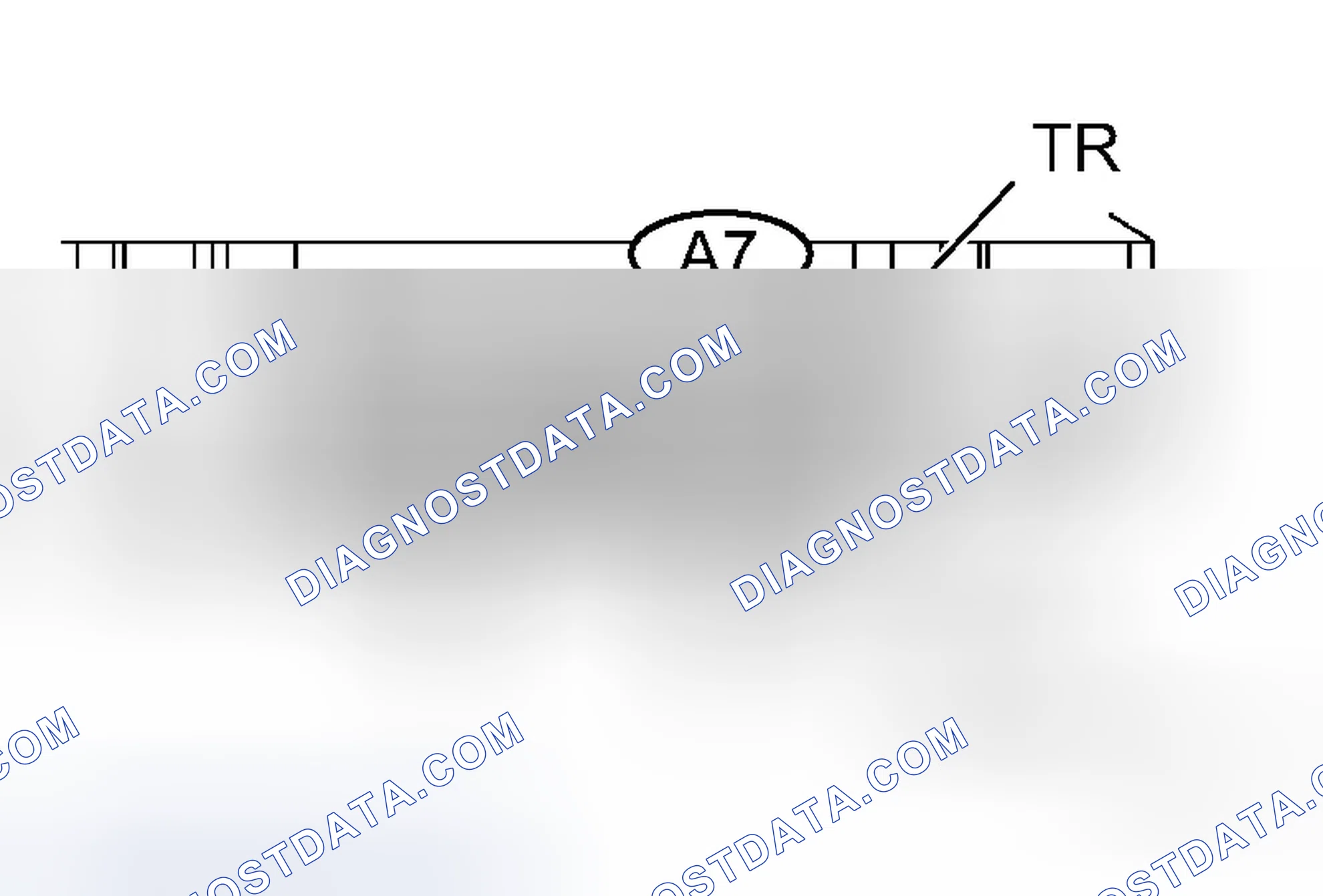 Scheme 20: INSPECTION PROCEDURE