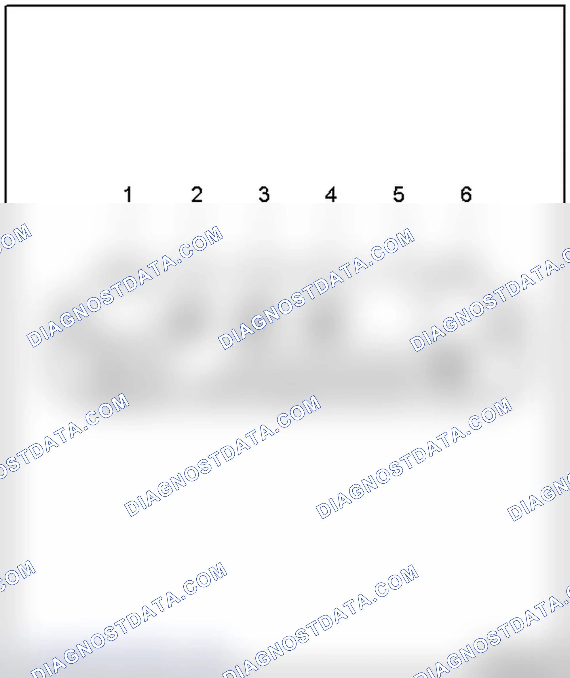 Scheme 14: ANTENNA AMPLIFIER 3 -R112- (RADIO CAN)