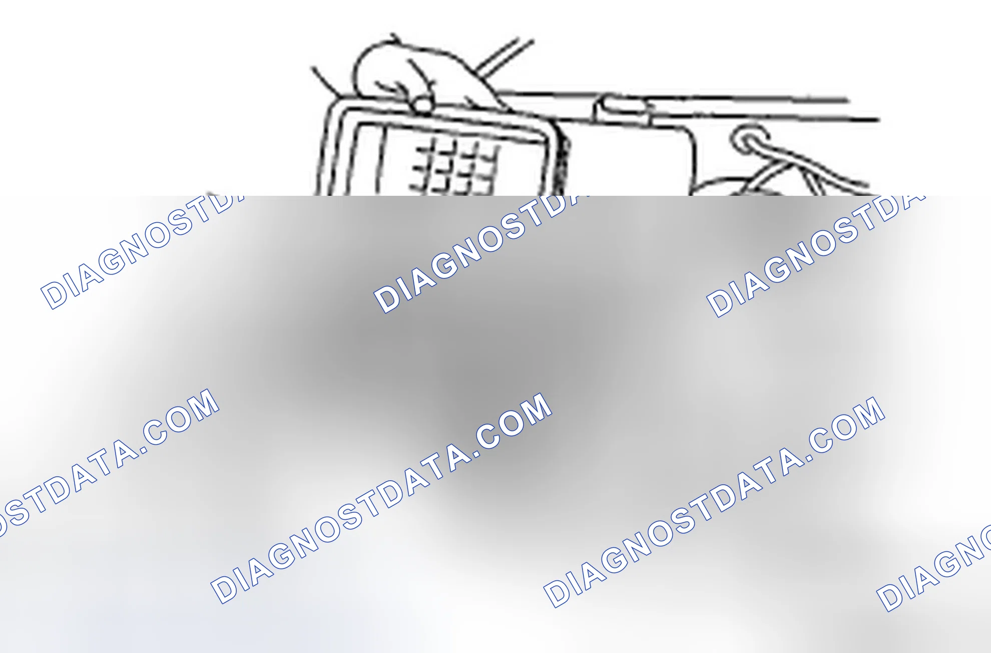 Scheme 301