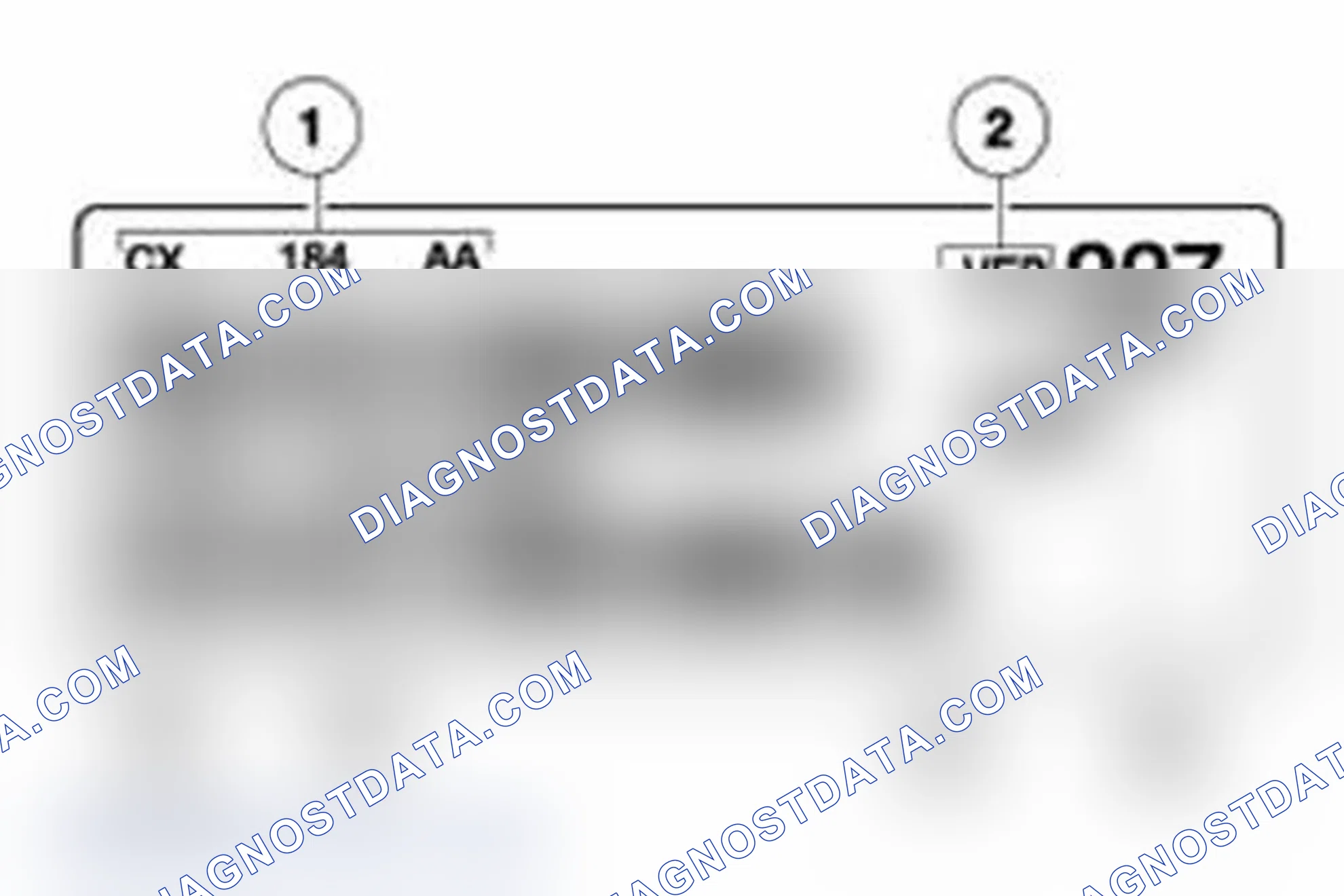 Scheme 301: Engine Code Information Label