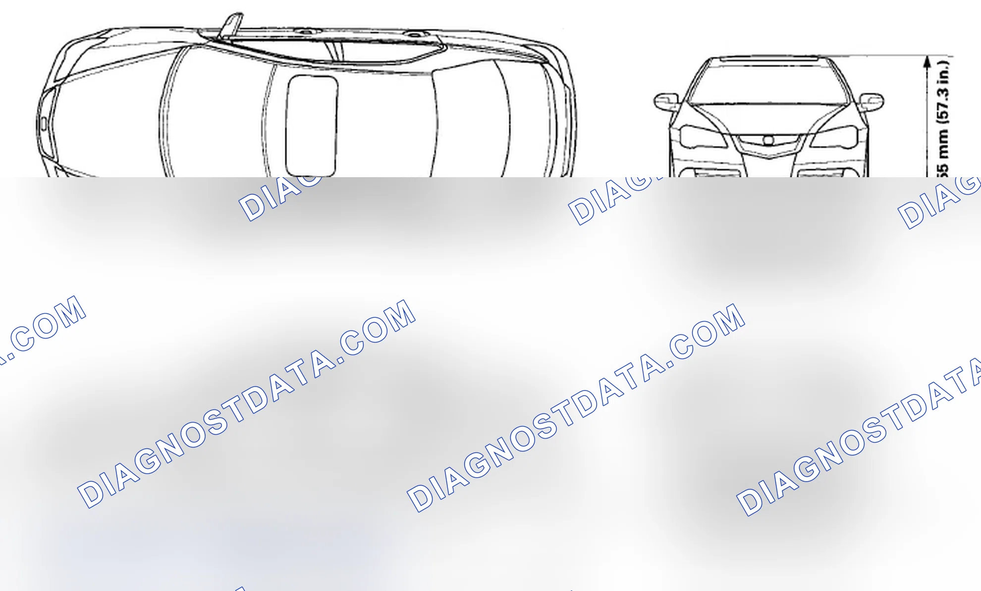 Scheme 1: Body Specifications