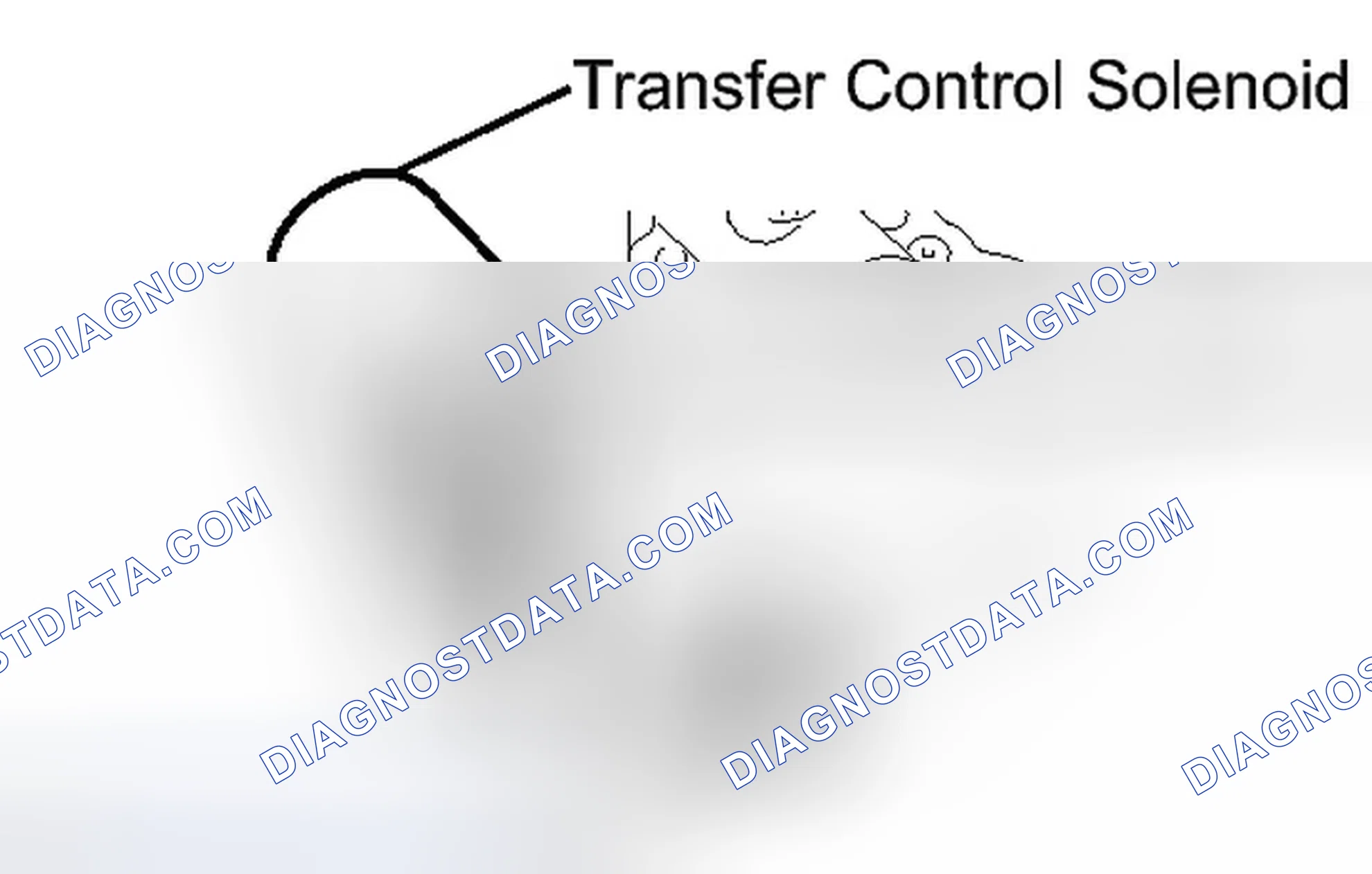 Scheme 77