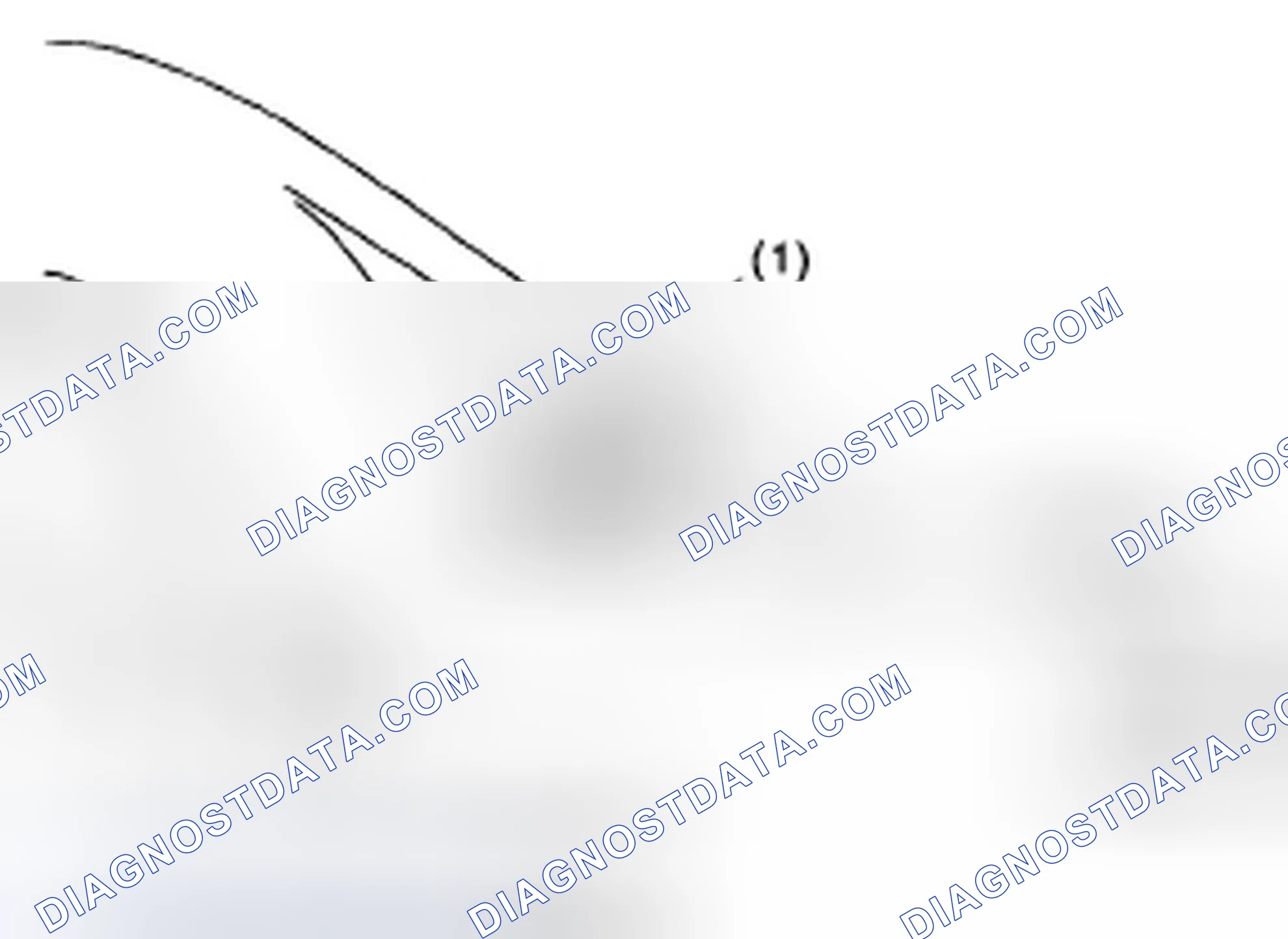 Scheme 7: REAR DIFFERENTIAL T-TYPE