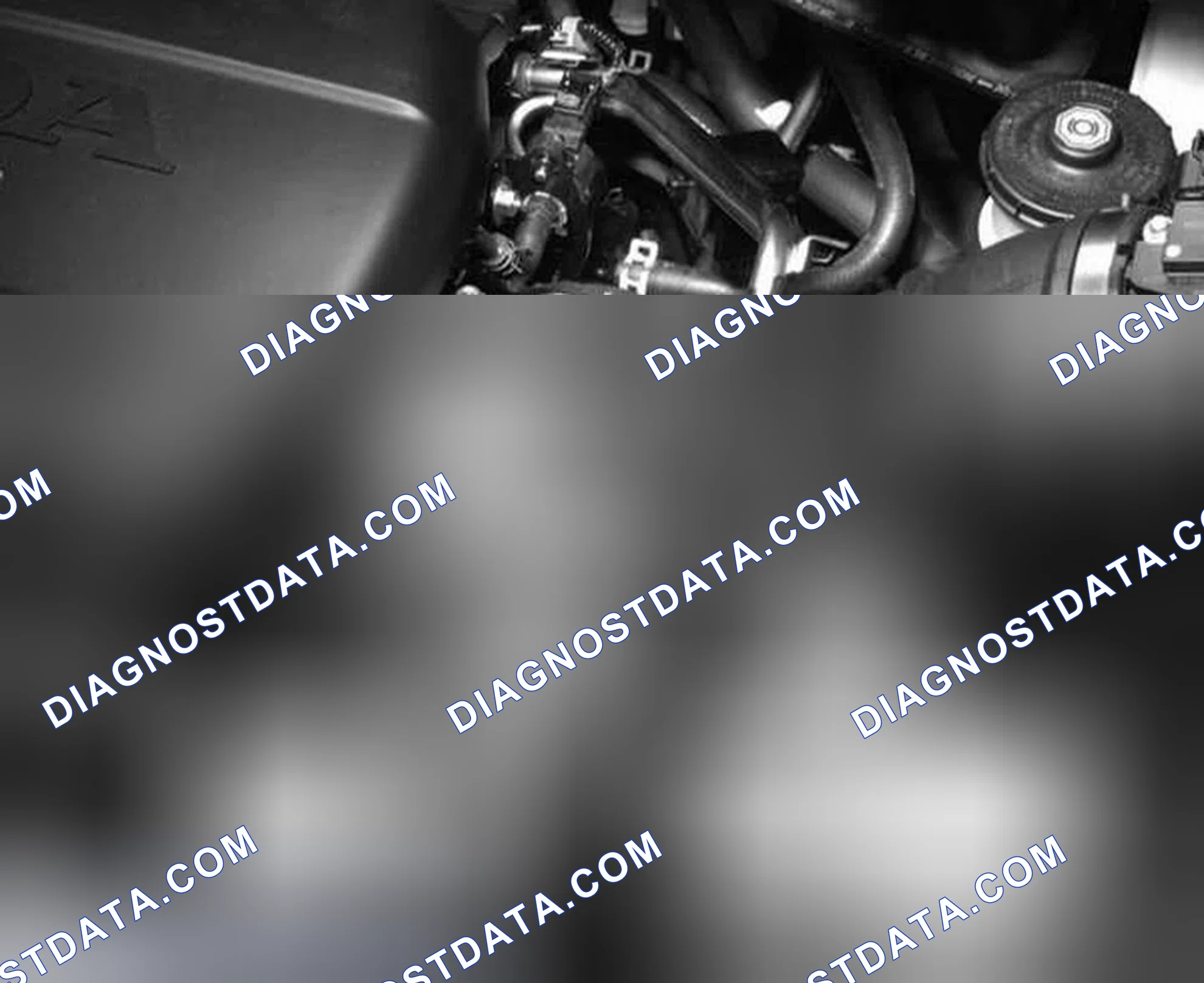 Scheme 14