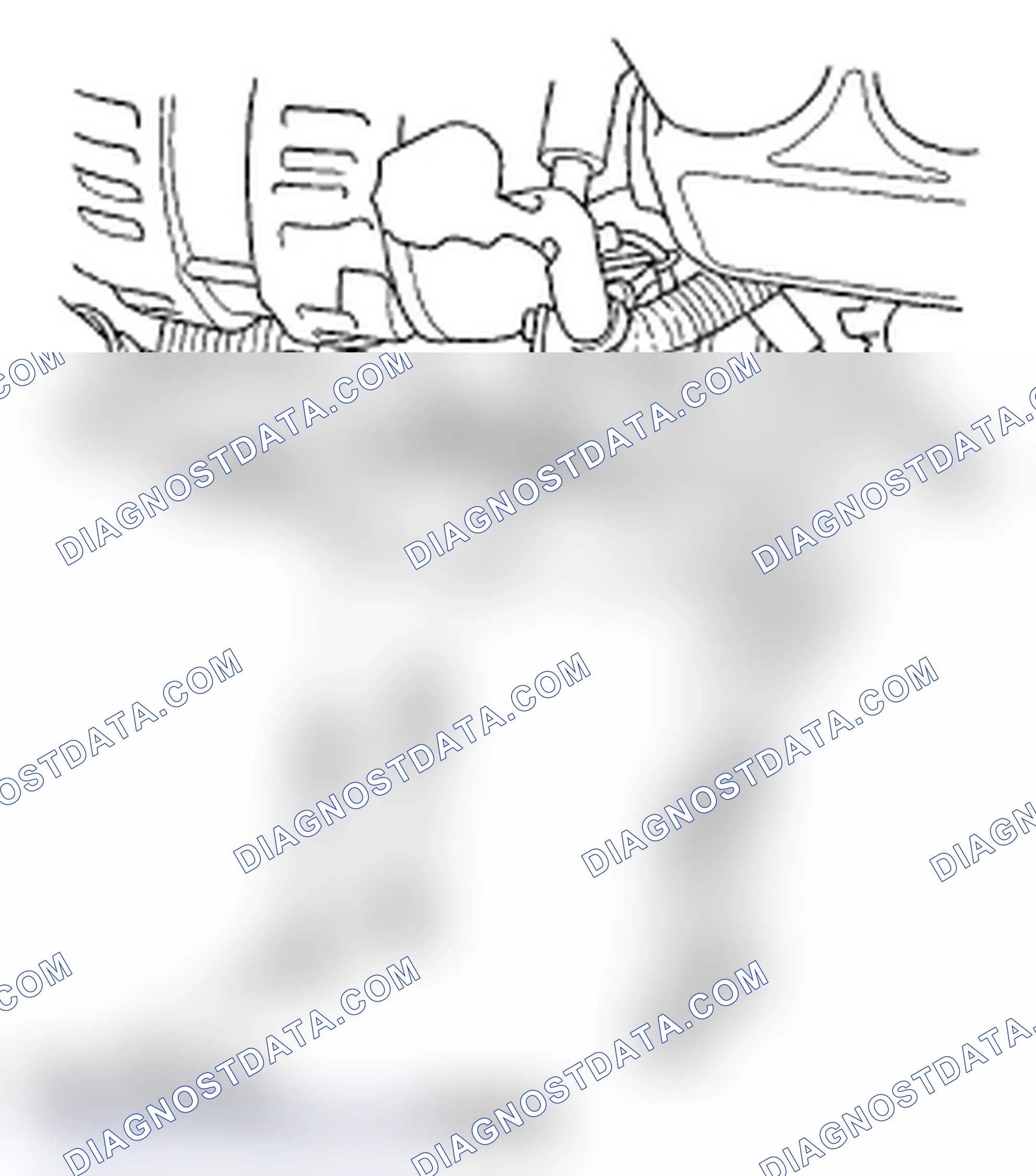 Scheme 195