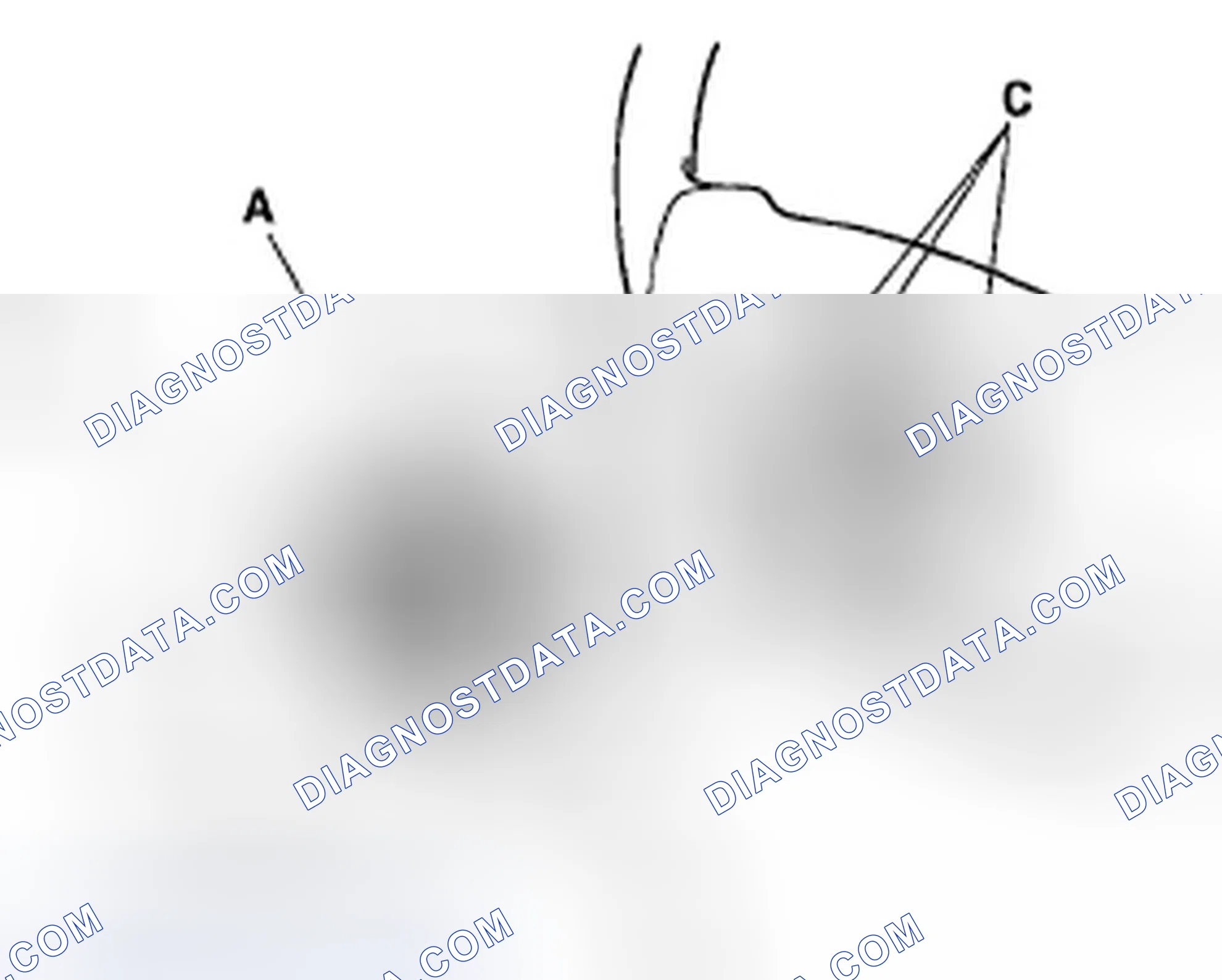 Scheme 143
