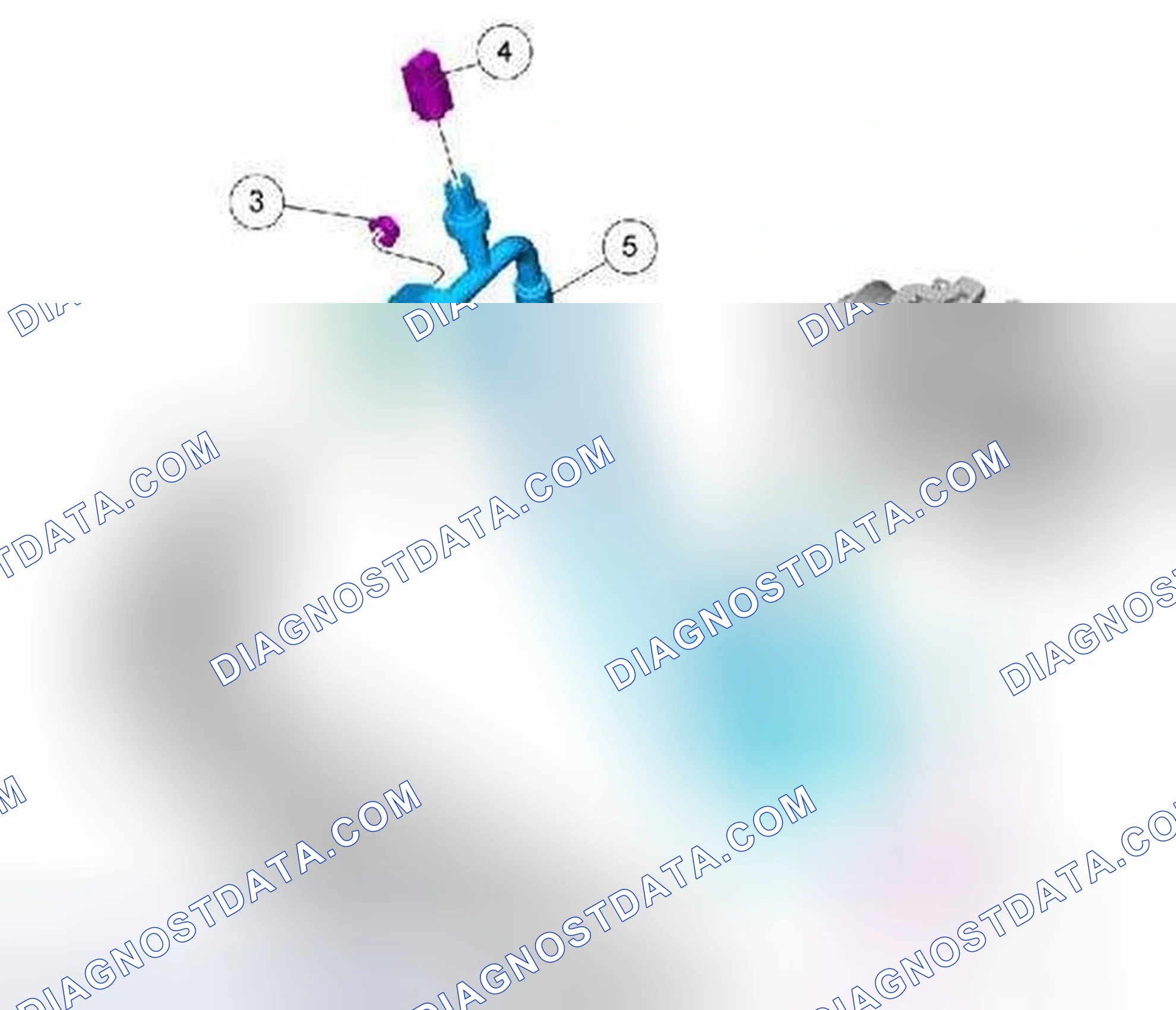 Scheme 114: Exploded View