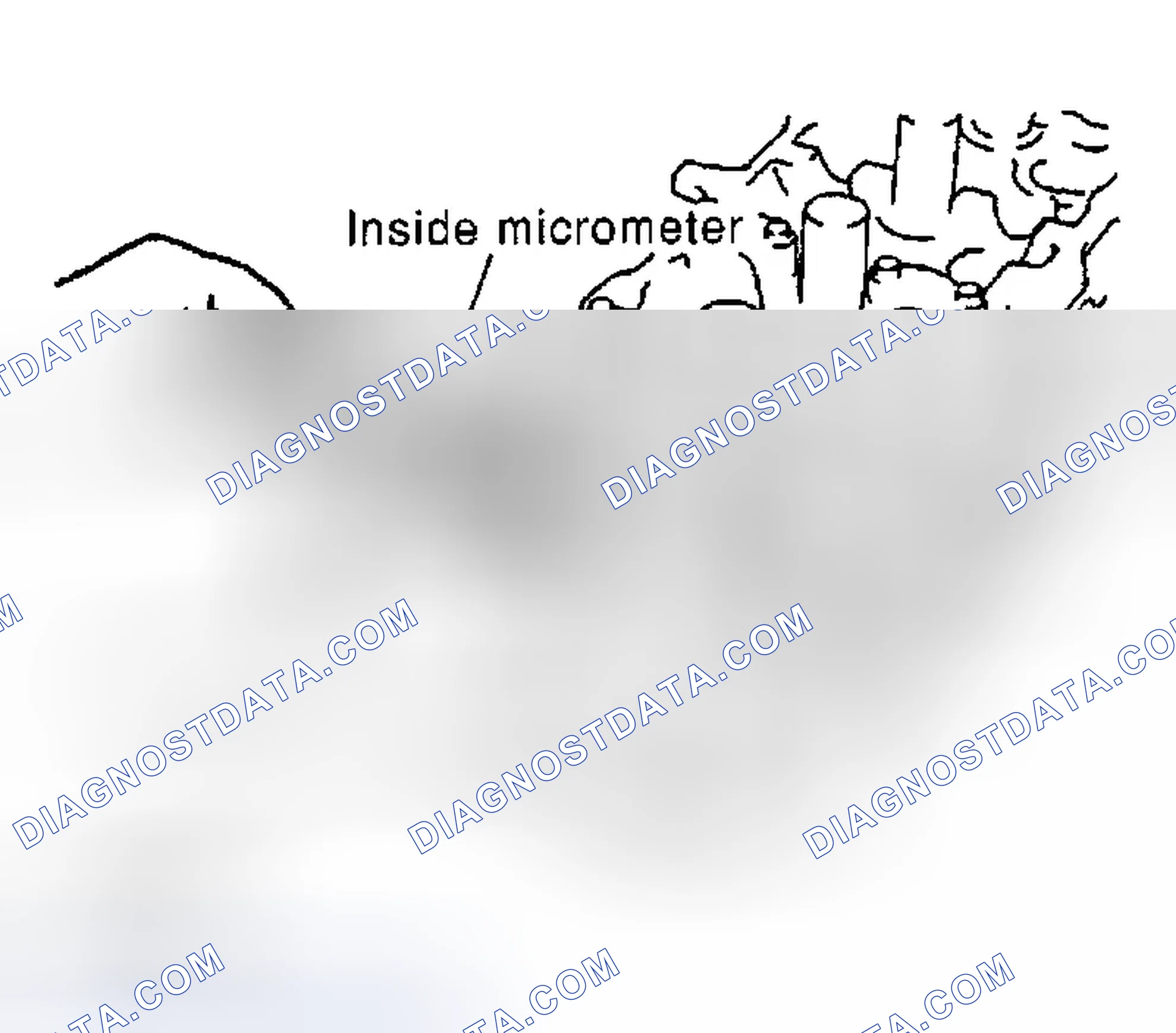 Scheme 176