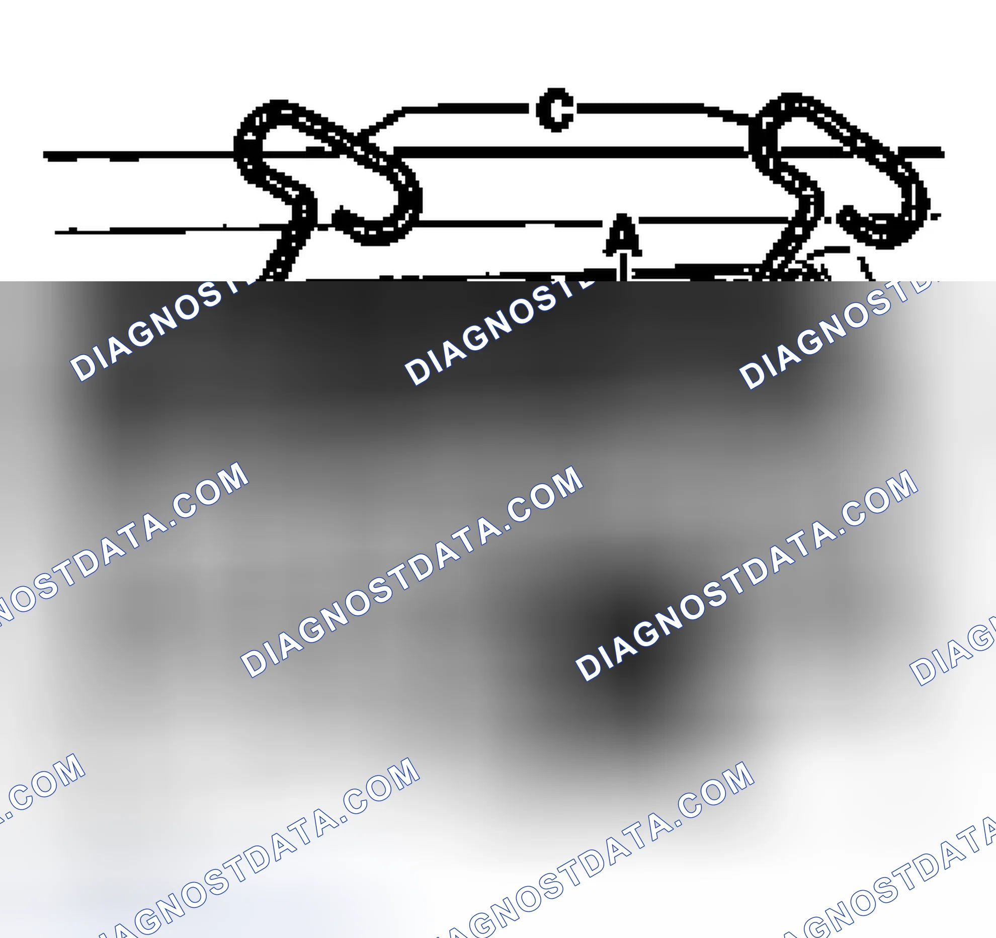 Scheme 106