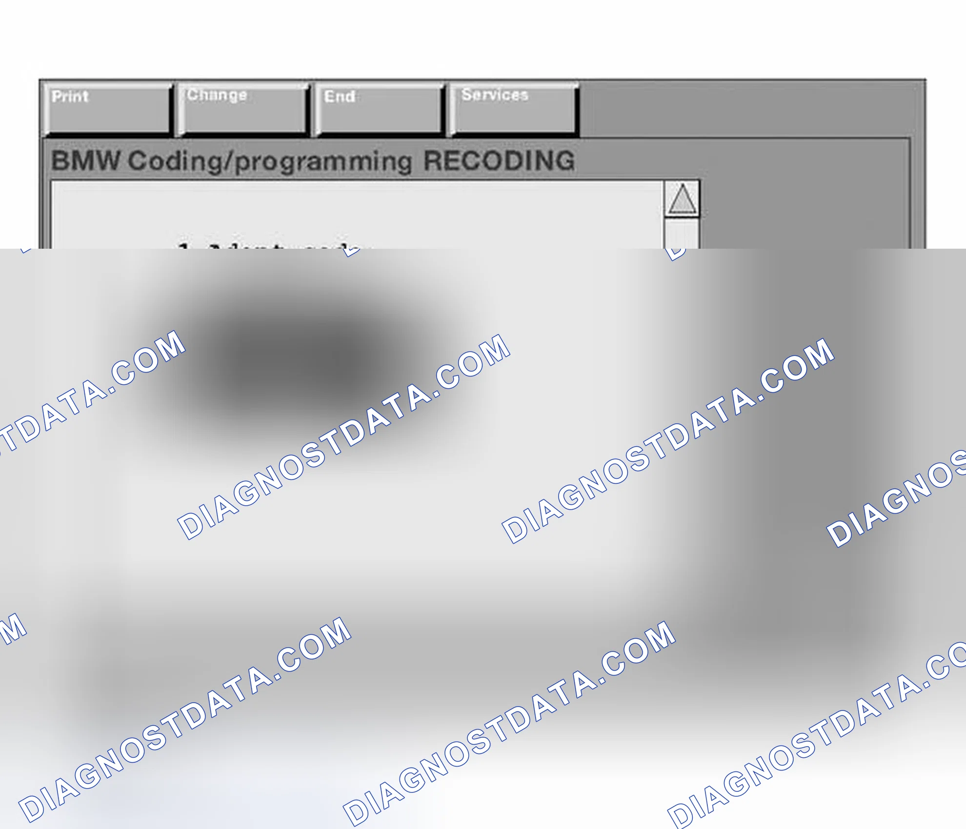 Scheme 183: Manually Entering the Variant Code
