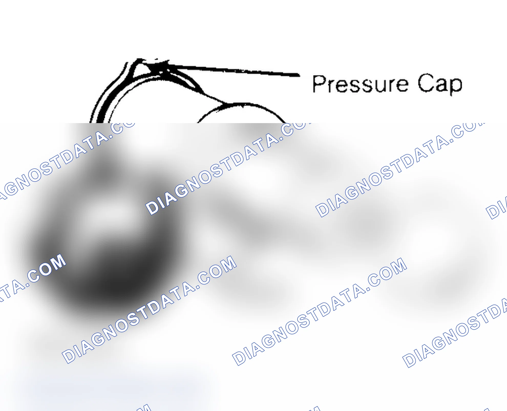 Scheme 2: Pressure Testing Radiator Cap