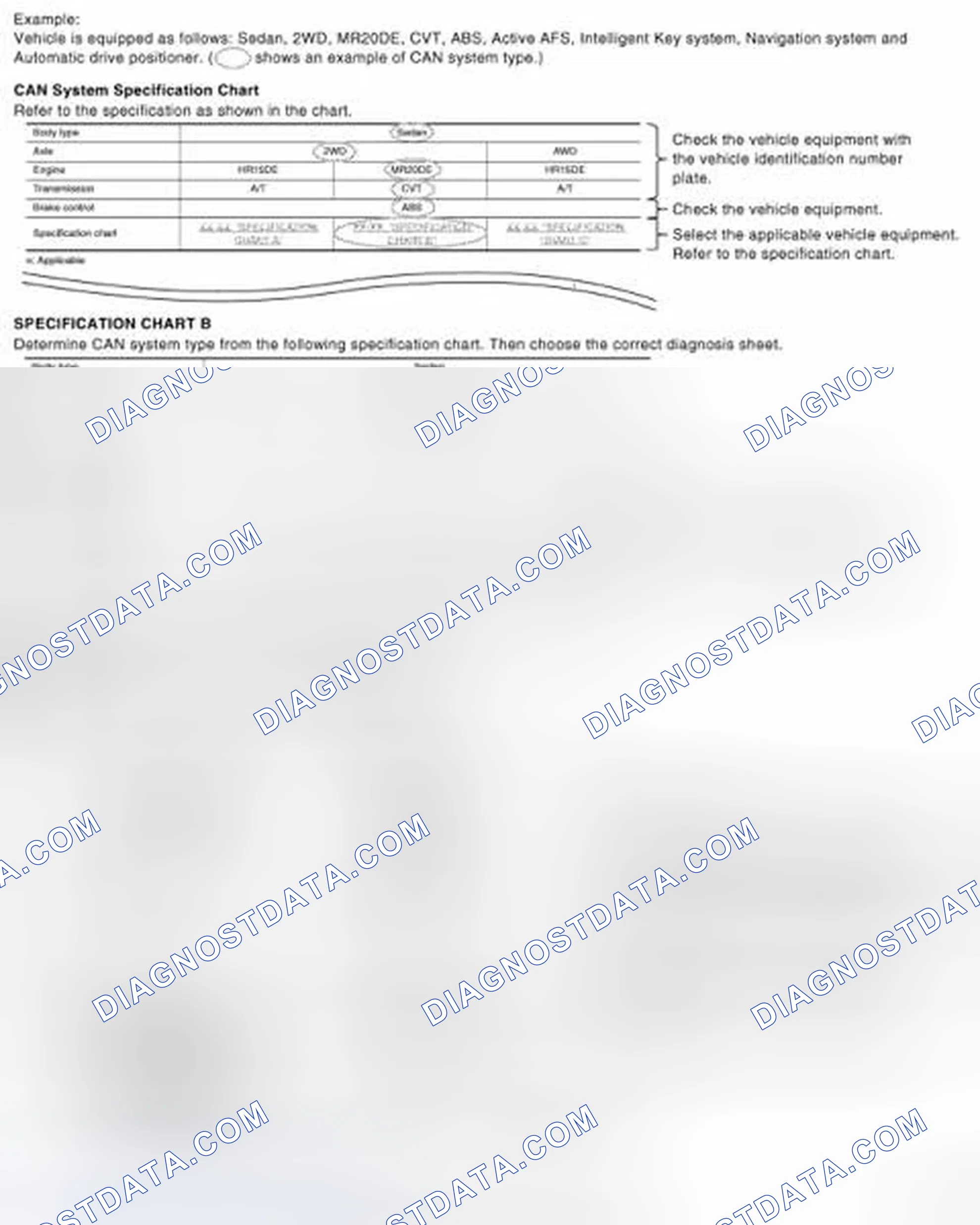 Scheme 2: CAN System Type Specification Chart (Style B)