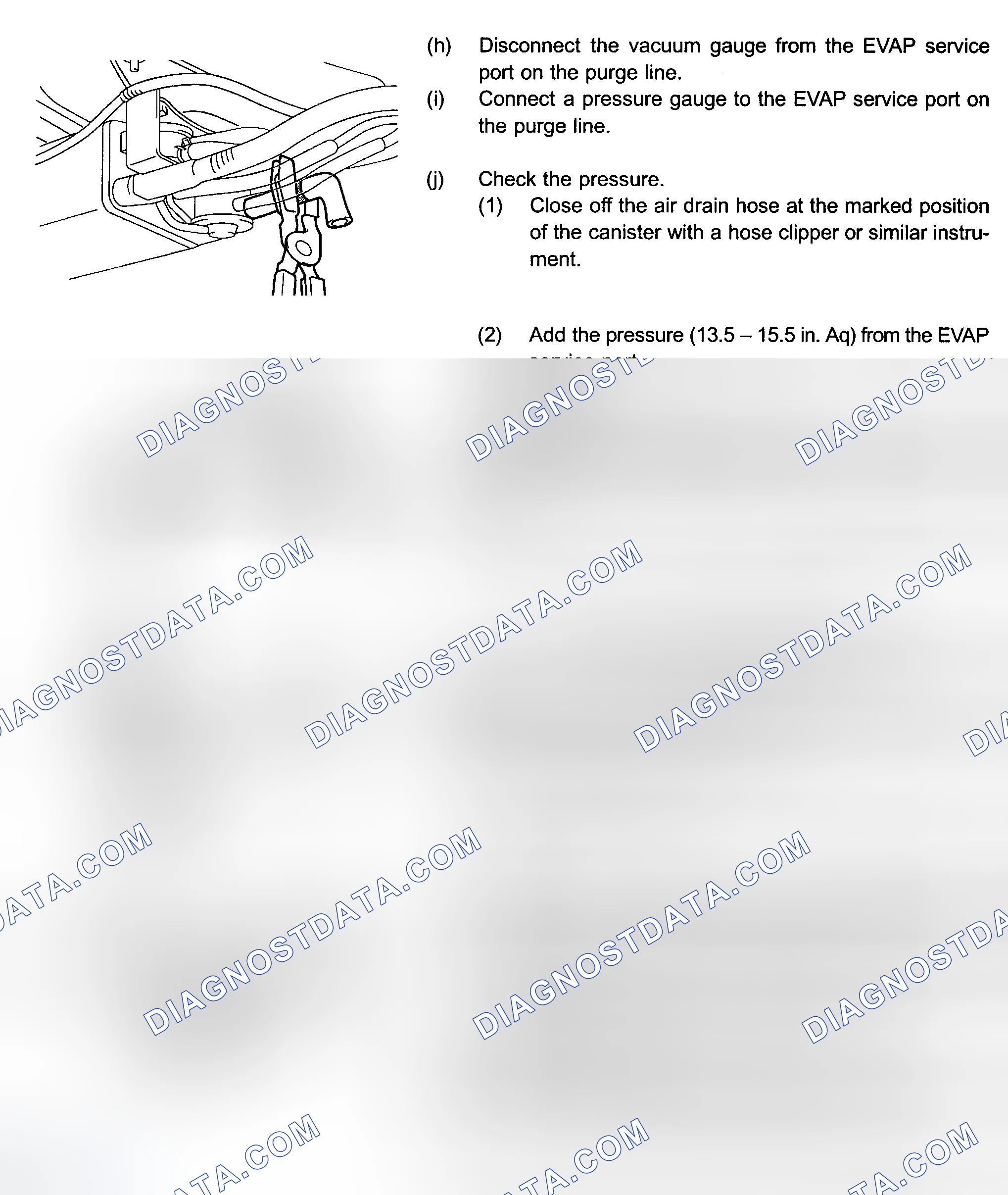 Scheme 225