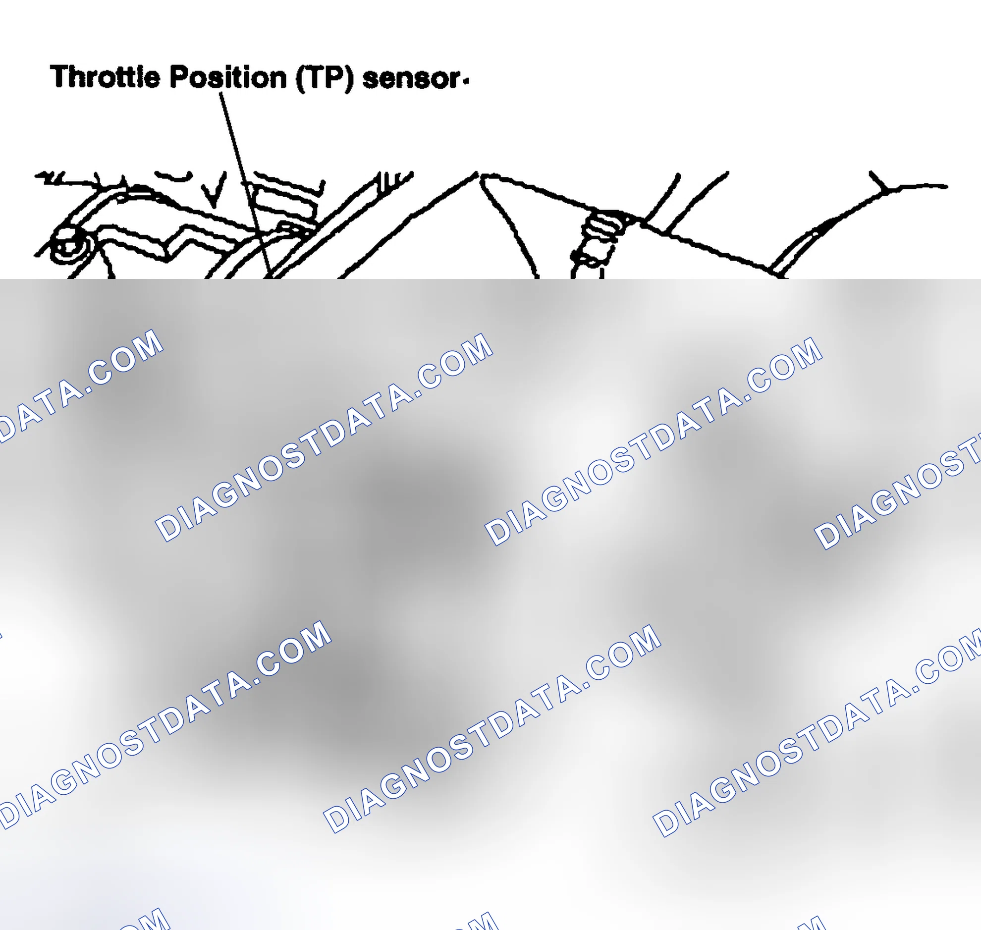 Scheme 48: Throttle Position (TP) Sensor