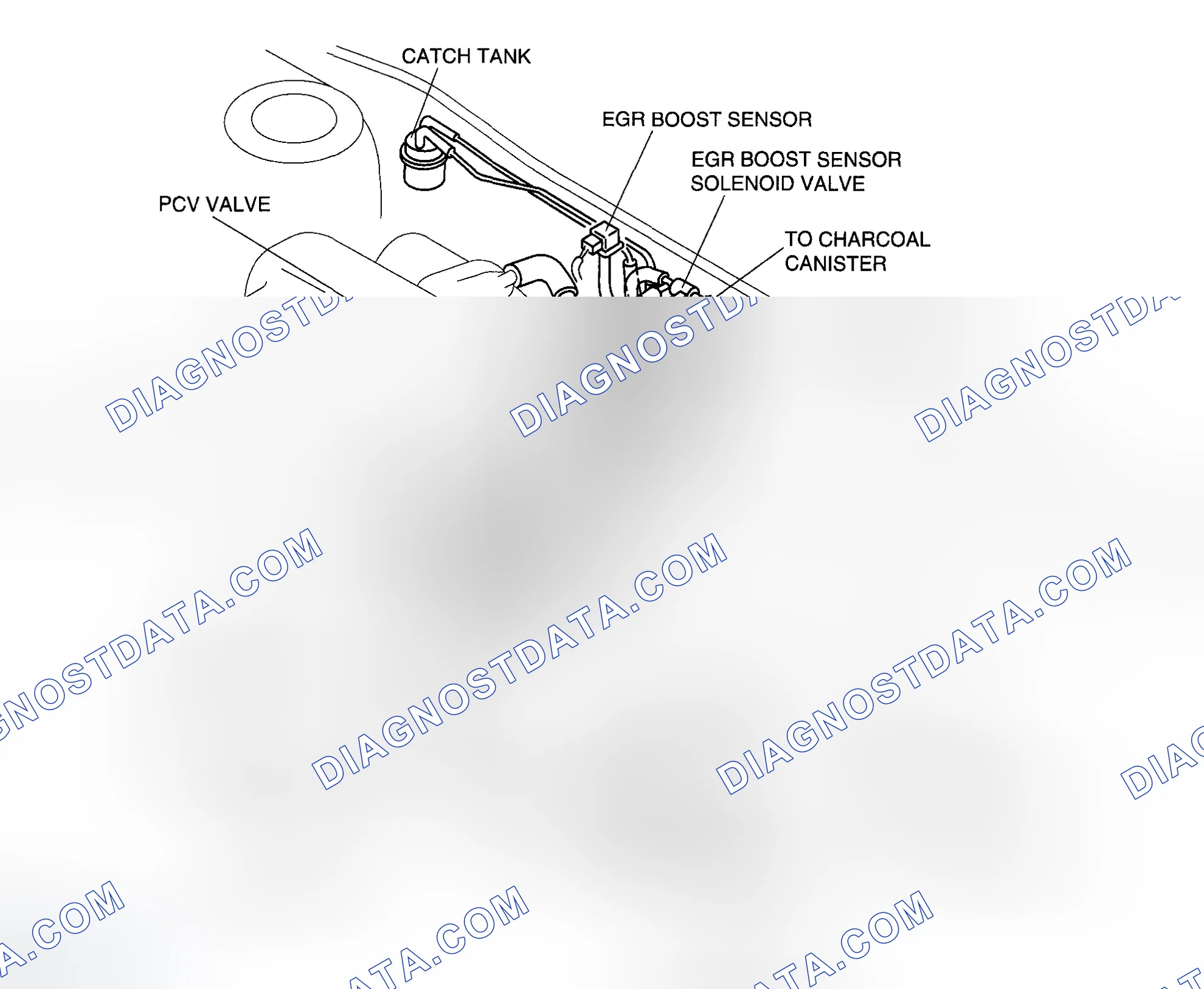 Scheme 419: VACUUM HOSE ROUTING DIAGRAM [AJ]