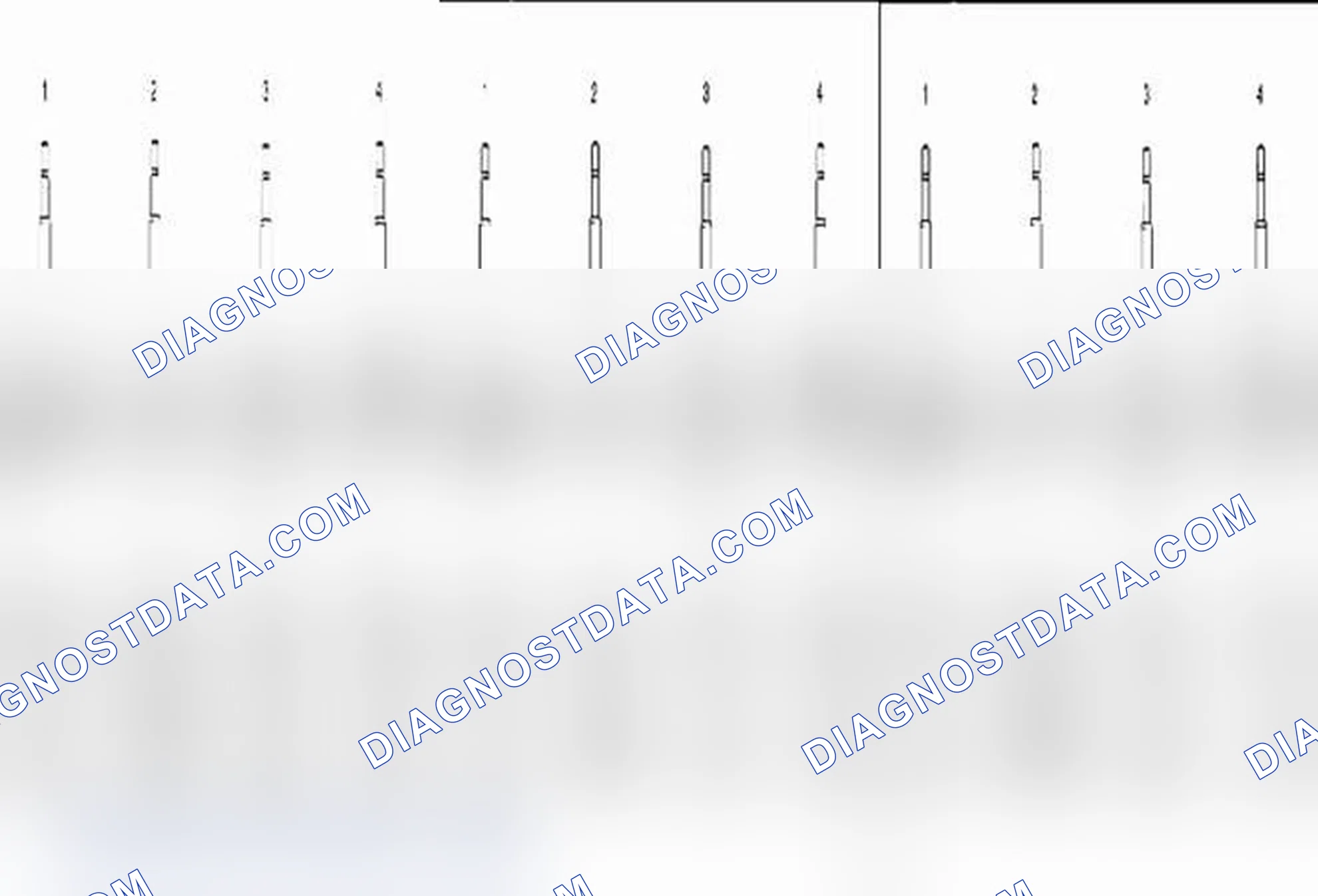 Scheme 8: Strut and Shock Absorber Inspection
