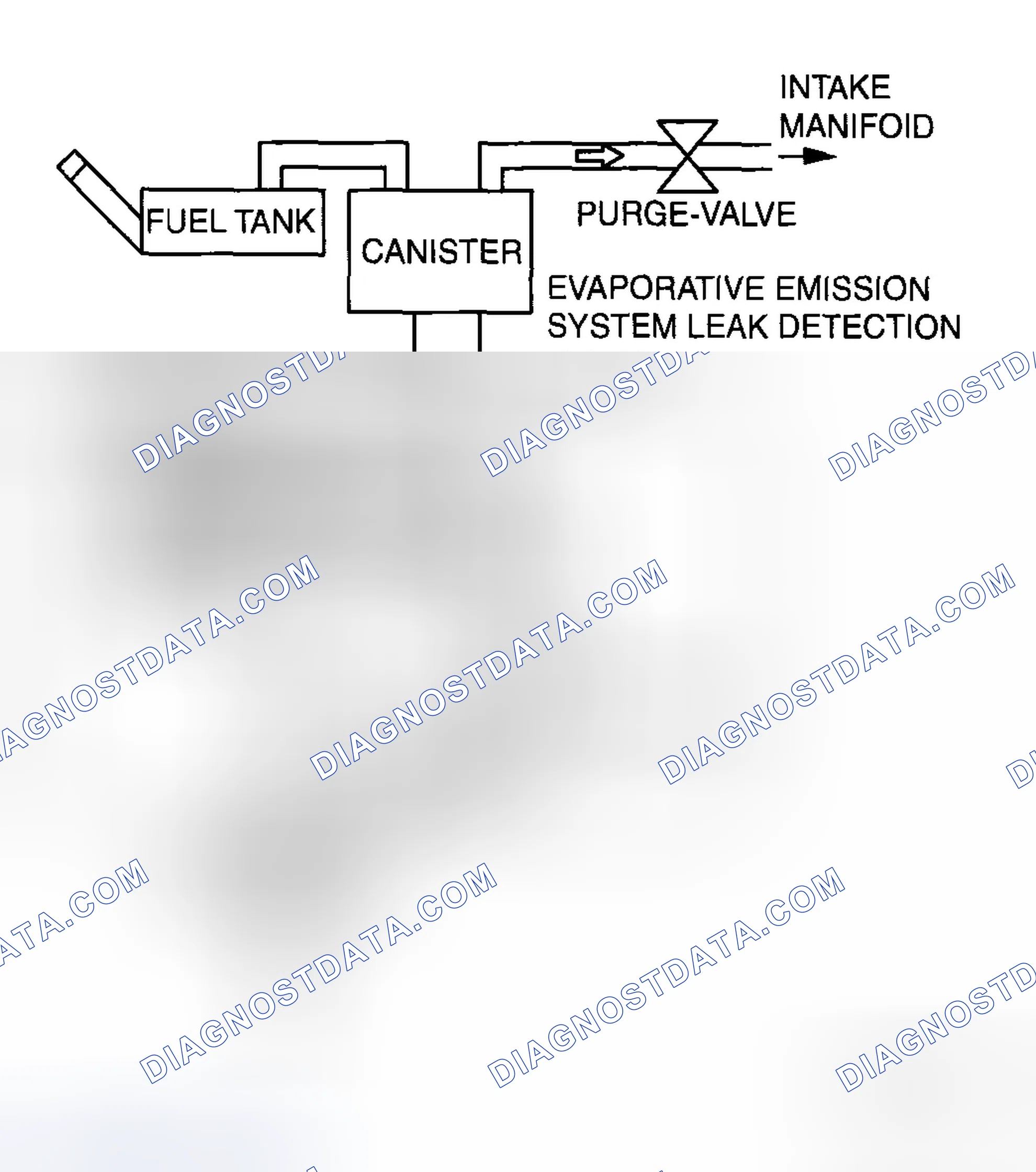 Scheme 109: EVAP system malfunction judgment