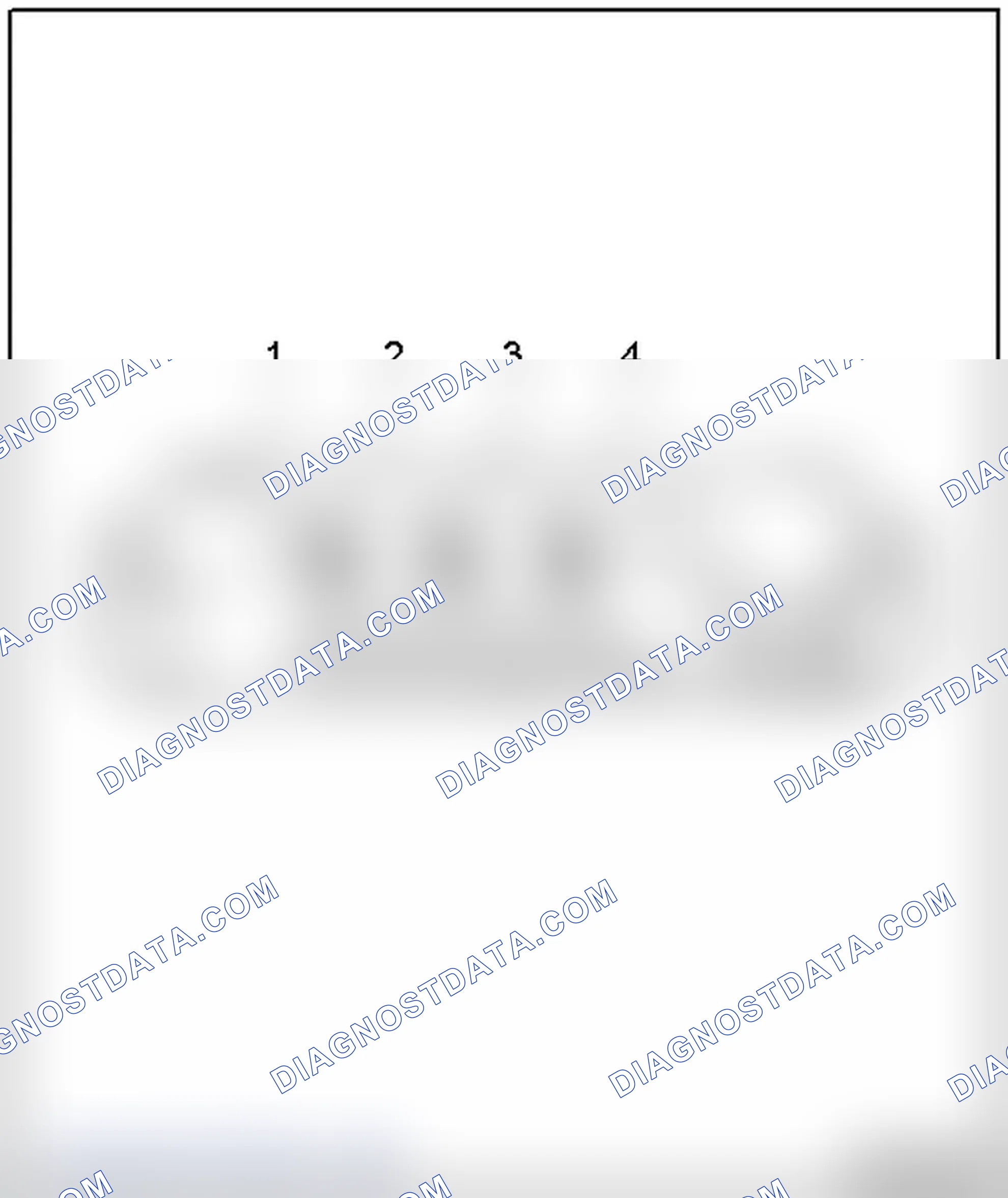 Scheme 20: ANTENNA AMPLIFIER 2 -R111- (THROUGH 10.2008)