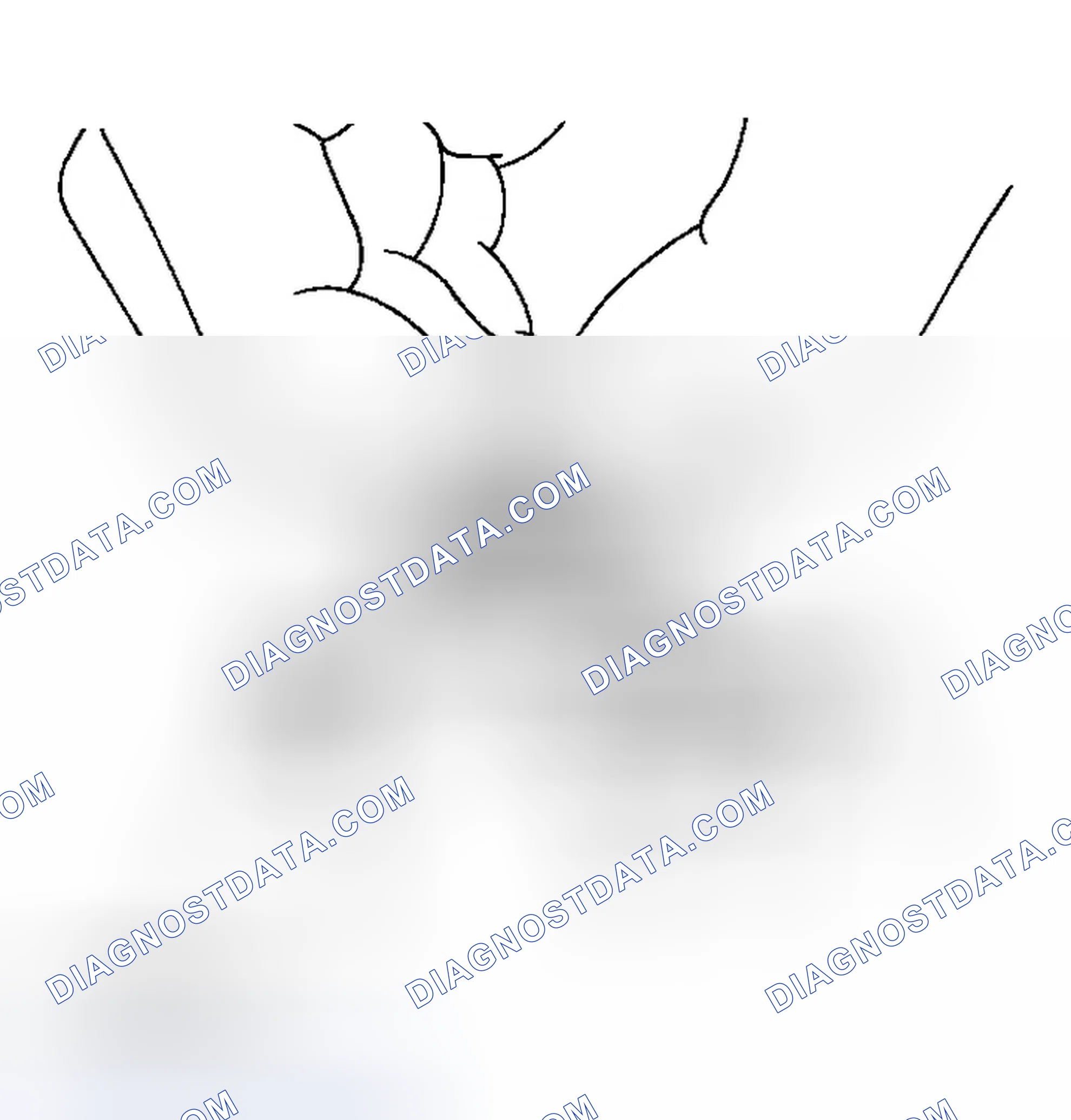 Scheme 13: Checking Radiator Cap