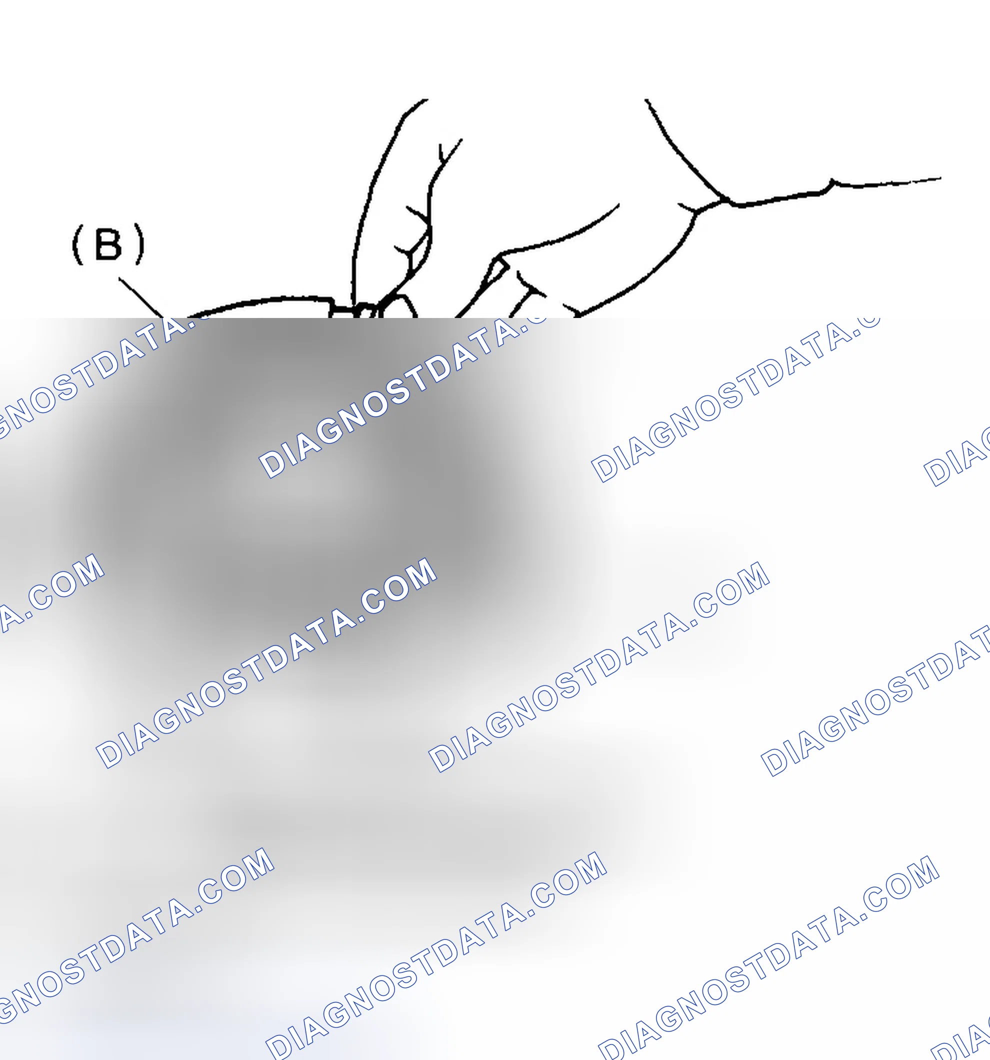 Scheme 118