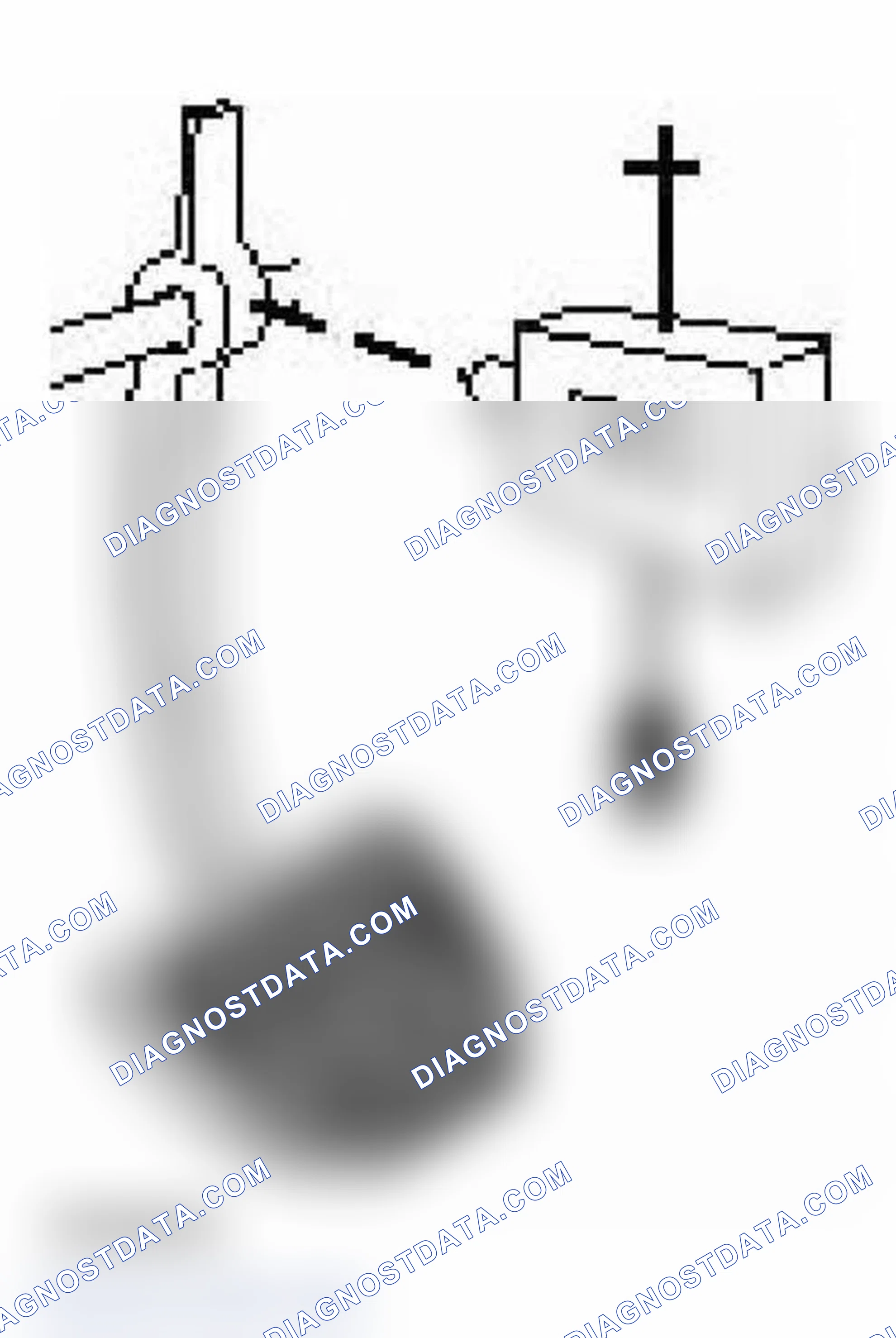 Scheme 247