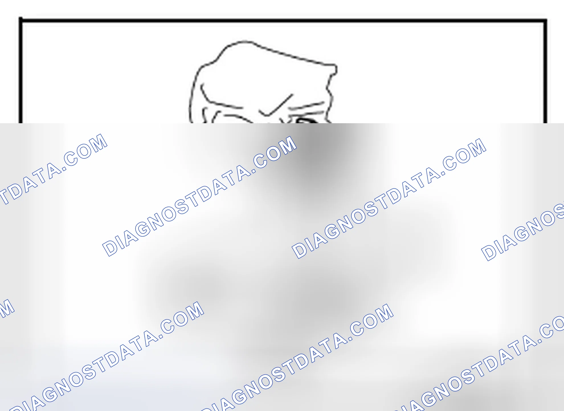 Scheme 239